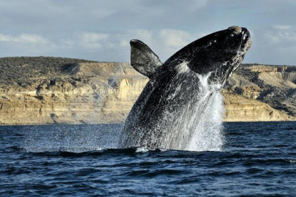 Ahinoa, a orillas del Golfo Nuevo
