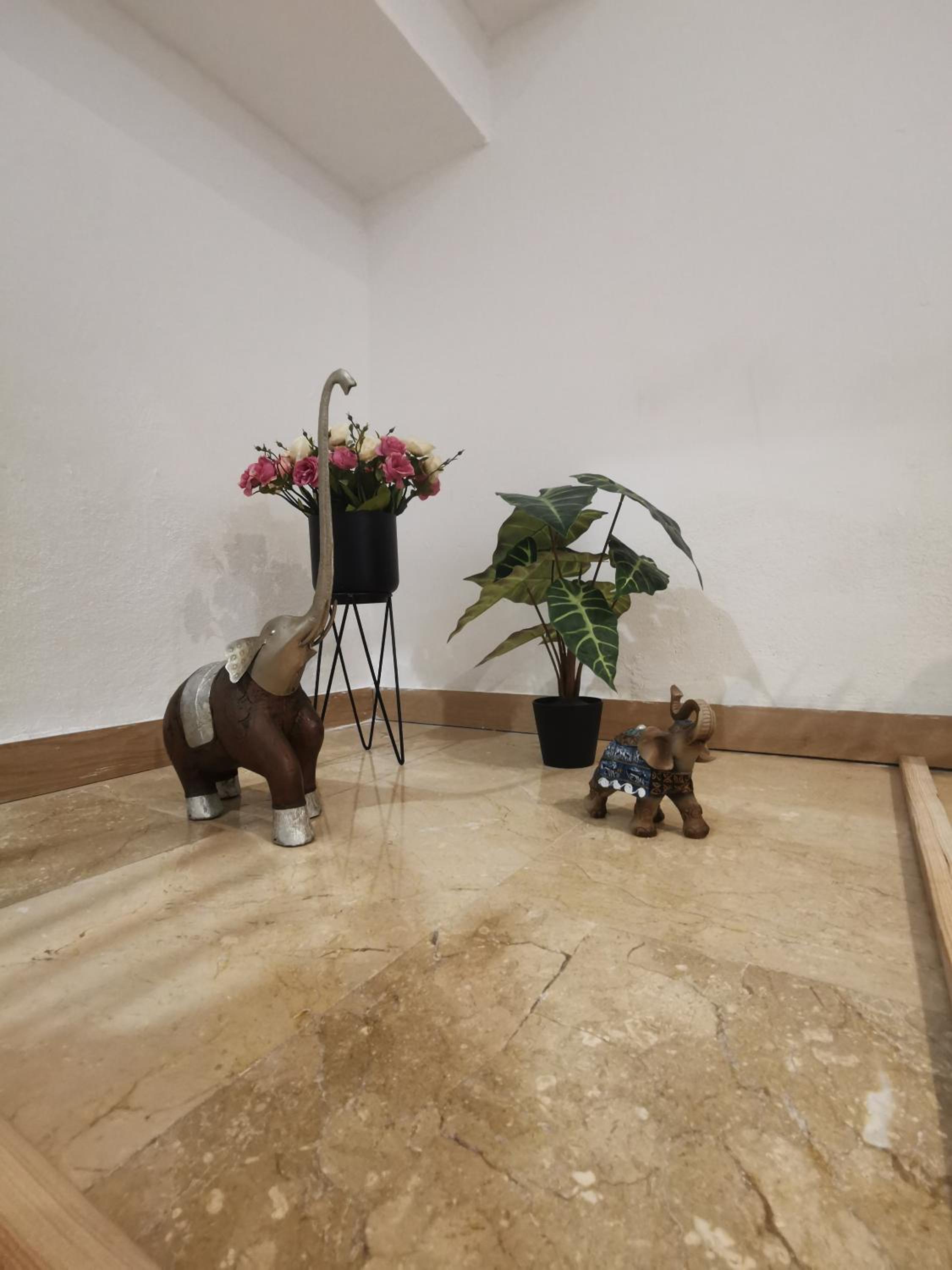 Oasis de Valencia