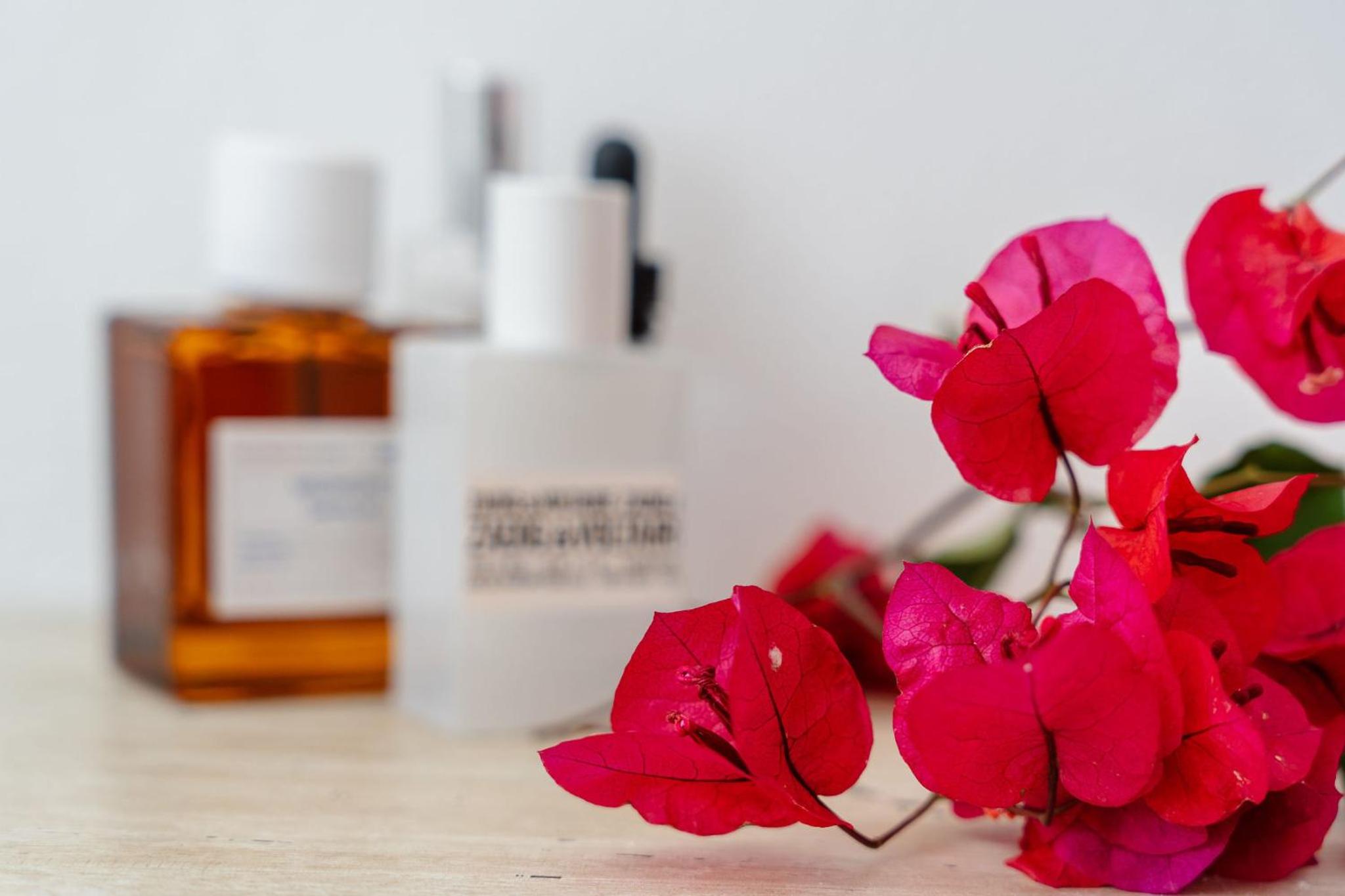 Kastro suite photo 5