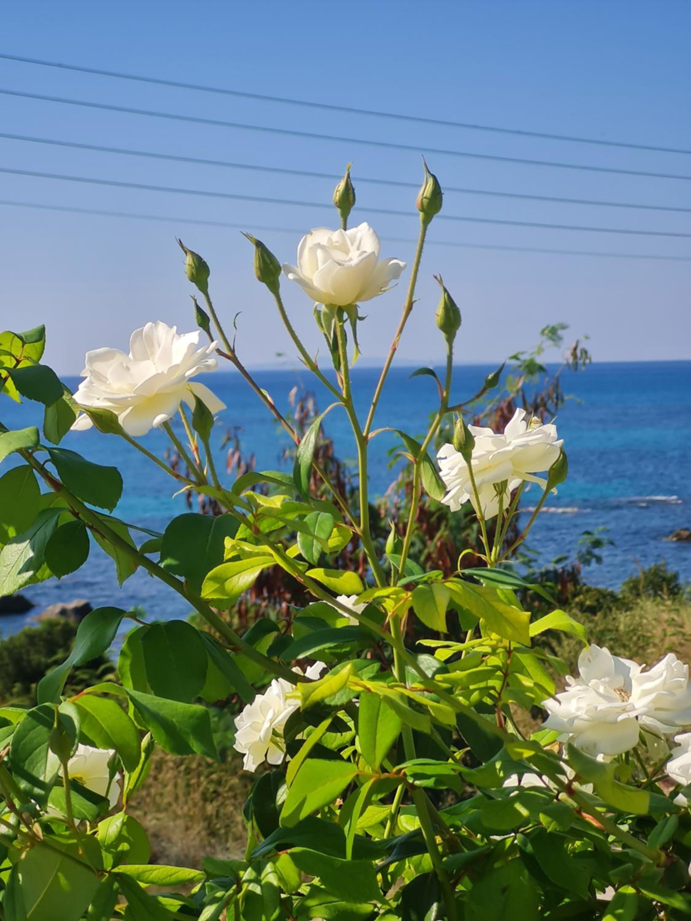 VILLA VRACHOS Preveza
