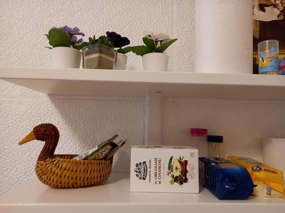 Tiny center G studio en Kaunas — other