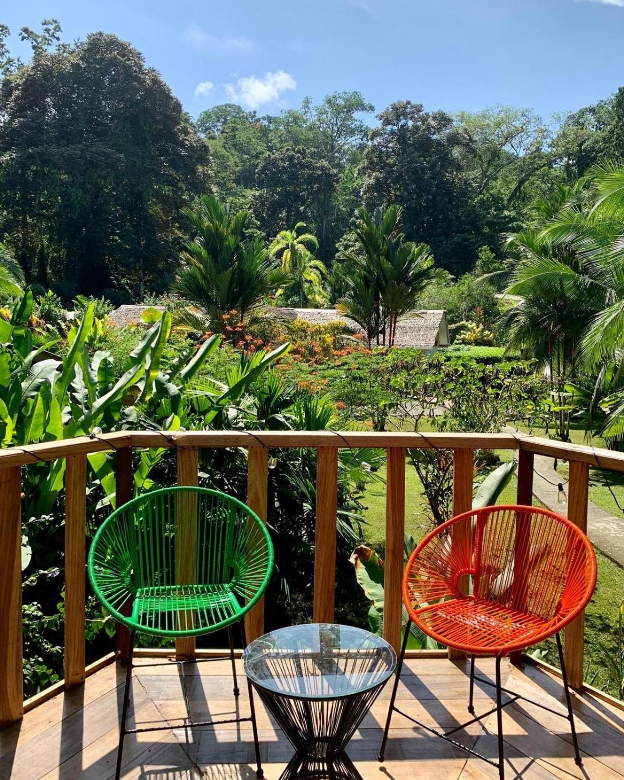 La Rana De Cahuita