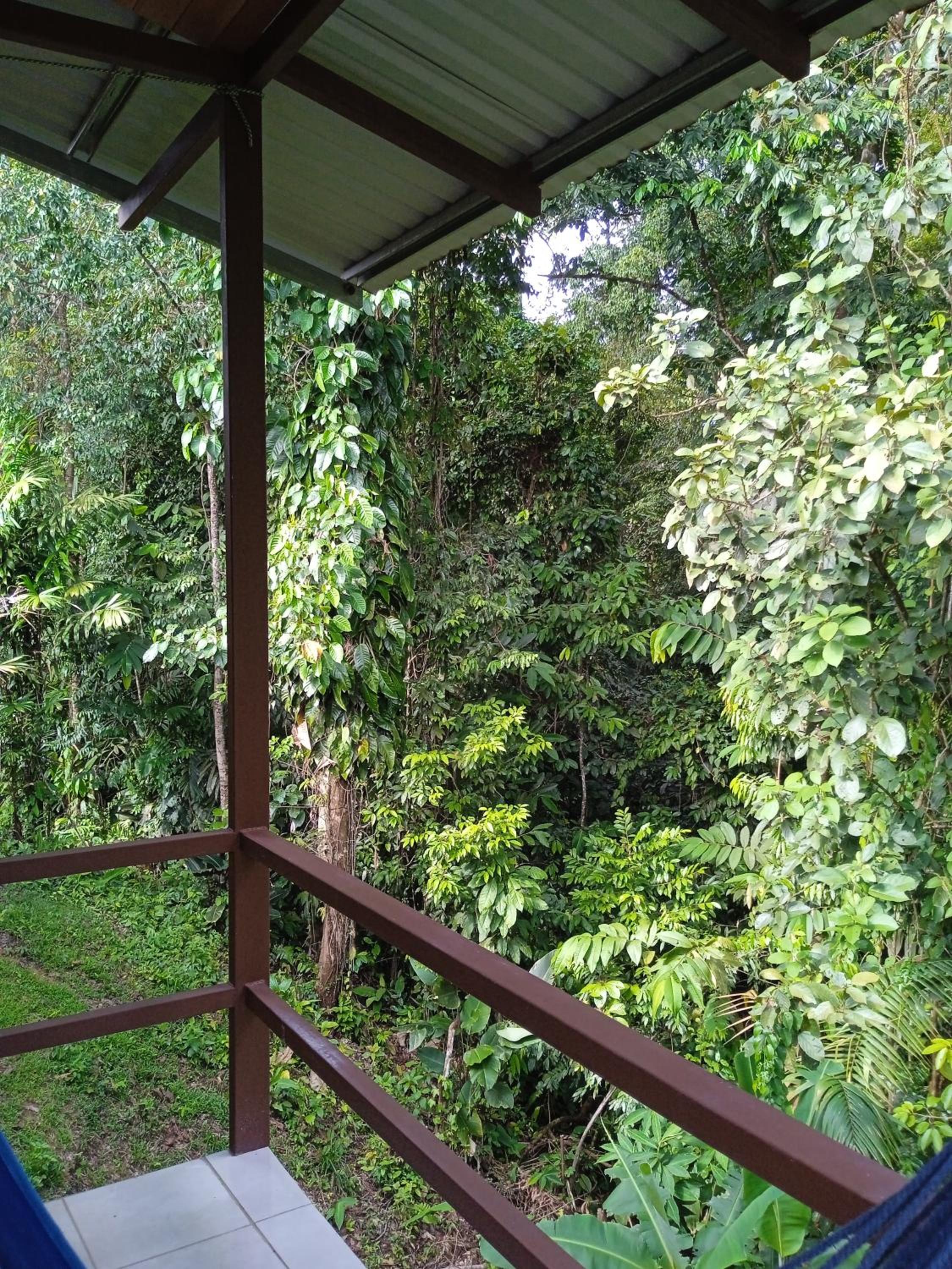 Cabañas Bajo Bosque Drake