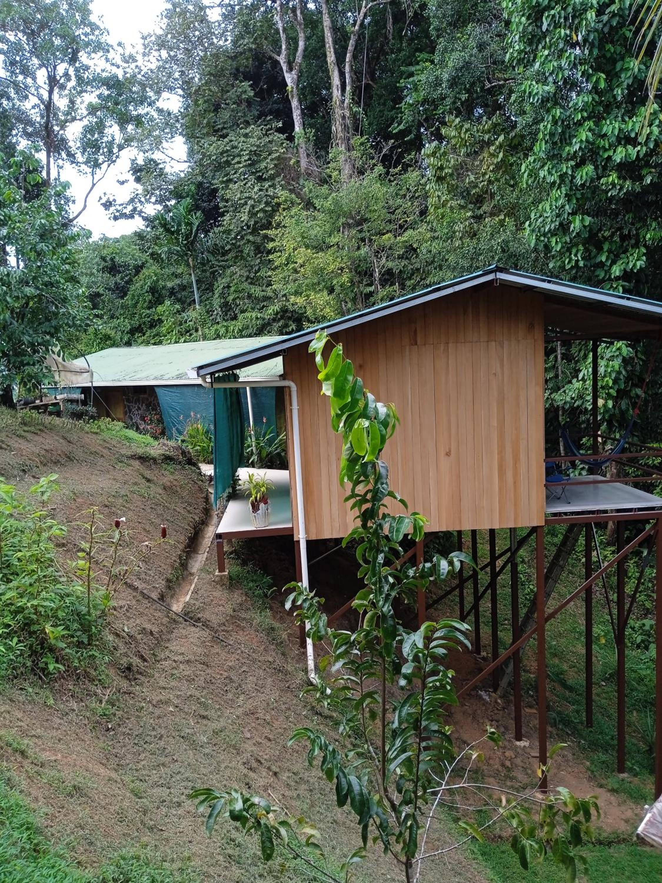 Cabañas Bajo Bosque Drake