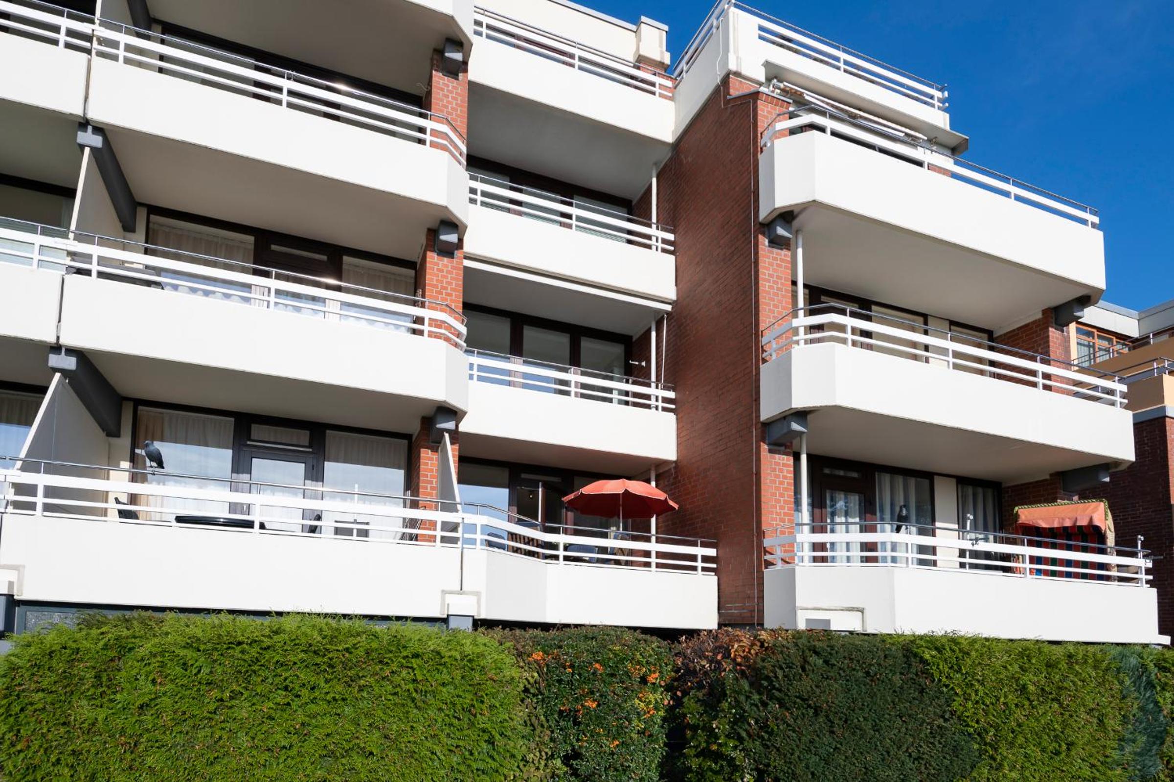 Belvedere Strandrose