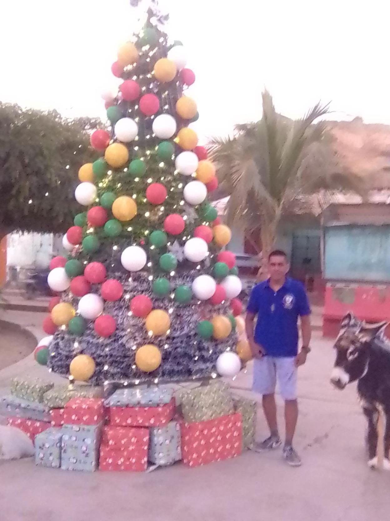 LOS AIRES DE NUEVO MANCORA