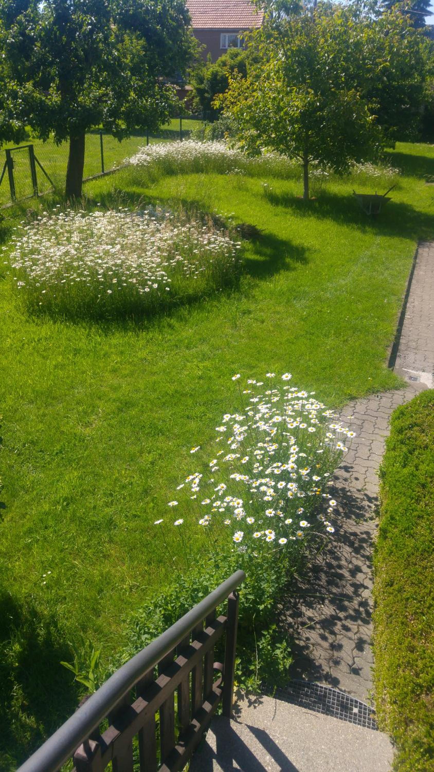 Ferienwohnung am Garten