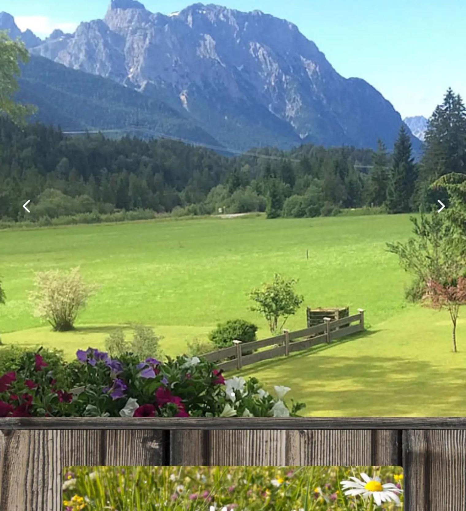 Alpenblick Tilly - Fewo Eibsee 1