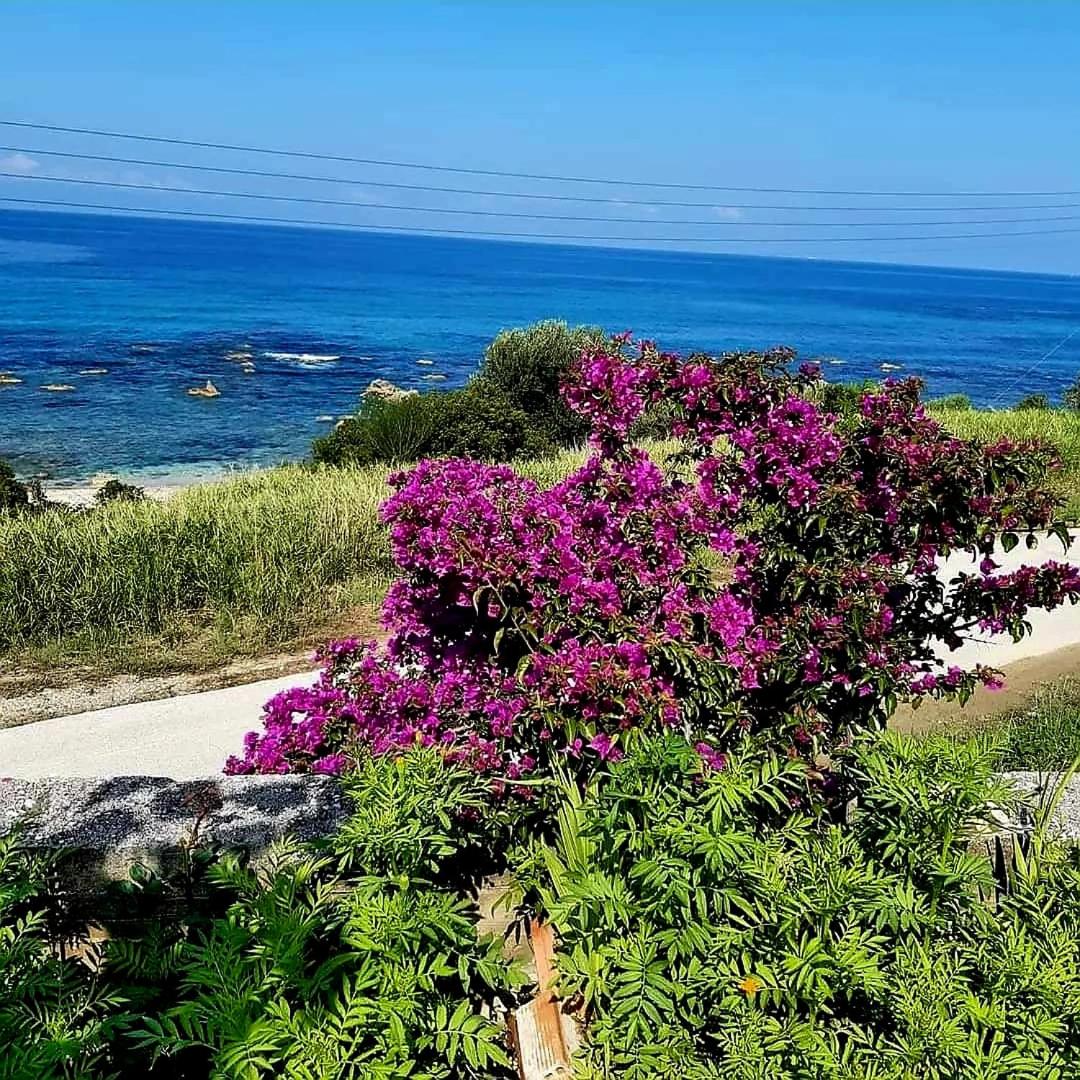 VILLA VRACHOS Preveza