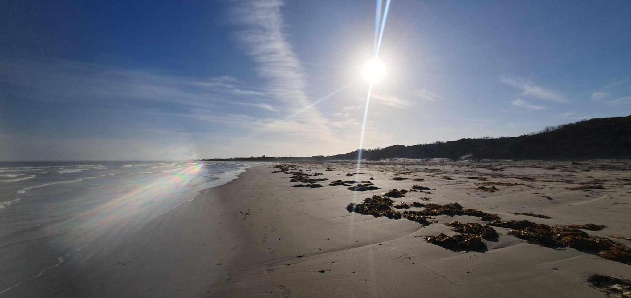Beach Haven