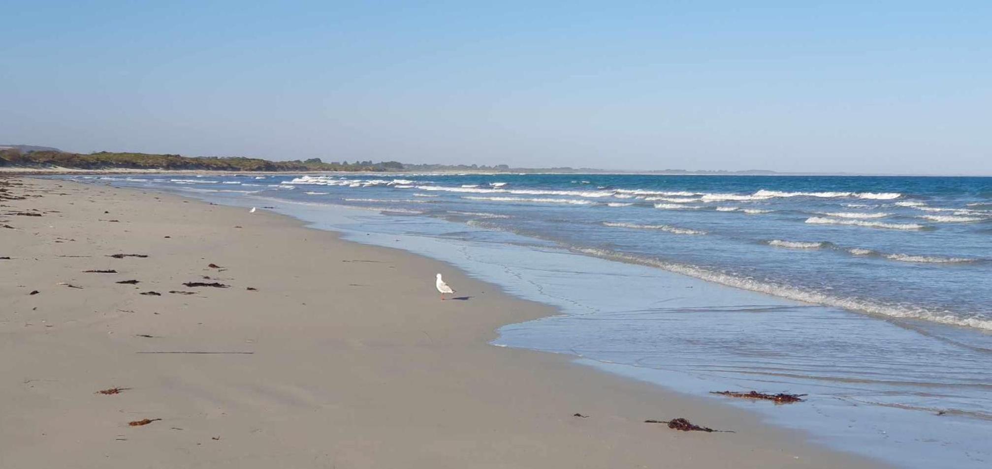 Beach Haven