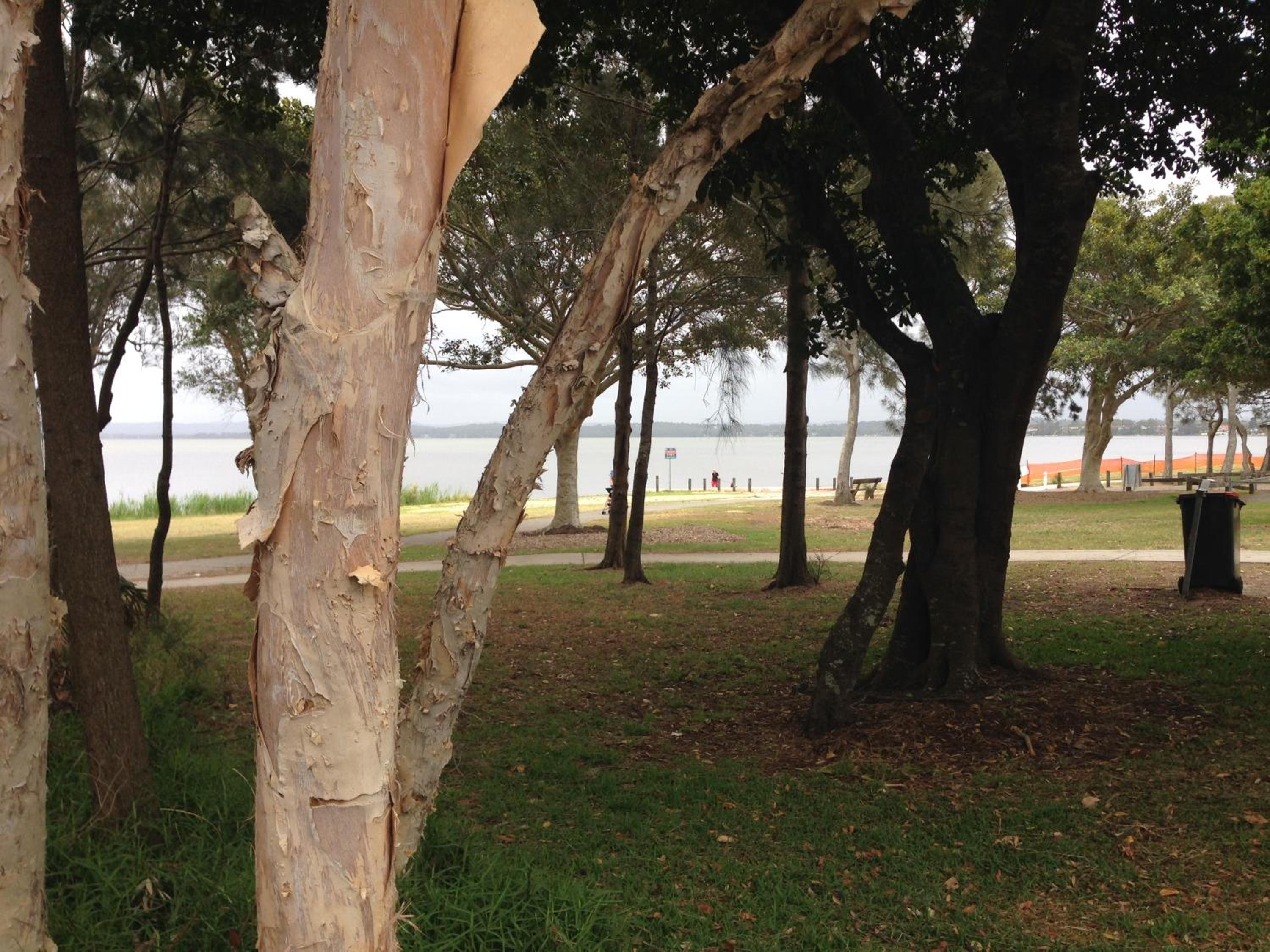 NRMA Canton Beach Holiday Park