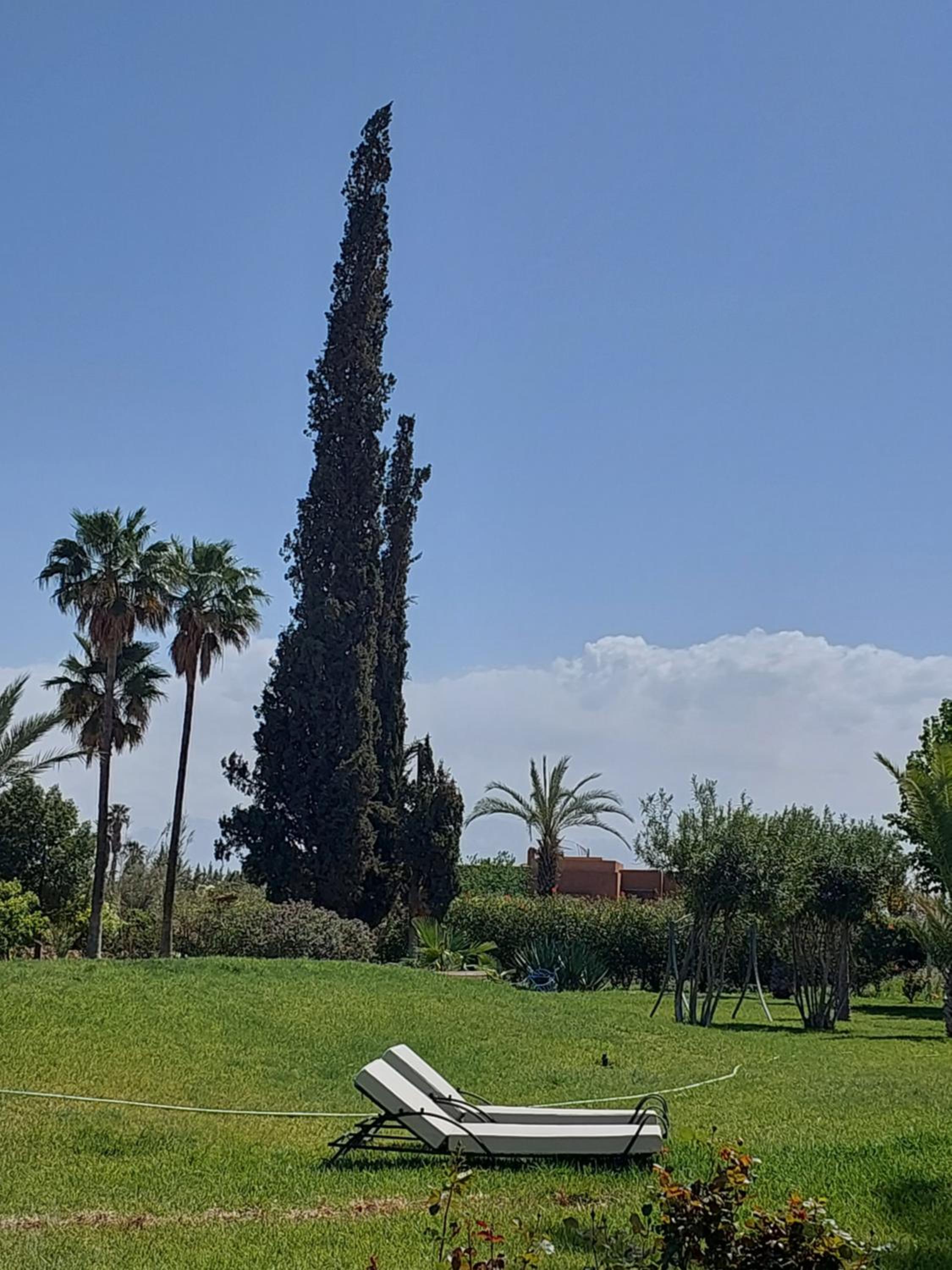 Palais les sources de l'atlas, Padel & spa view 5