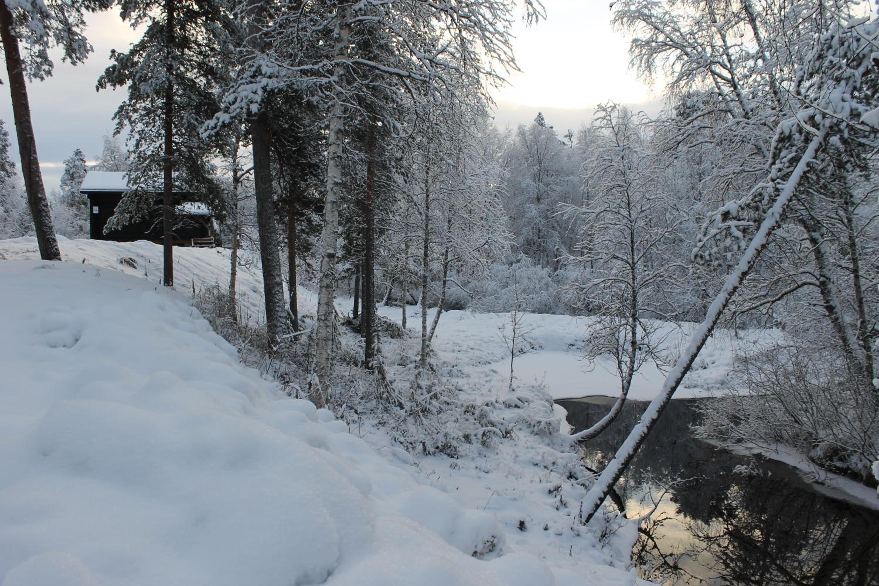 Ivalo River Camping