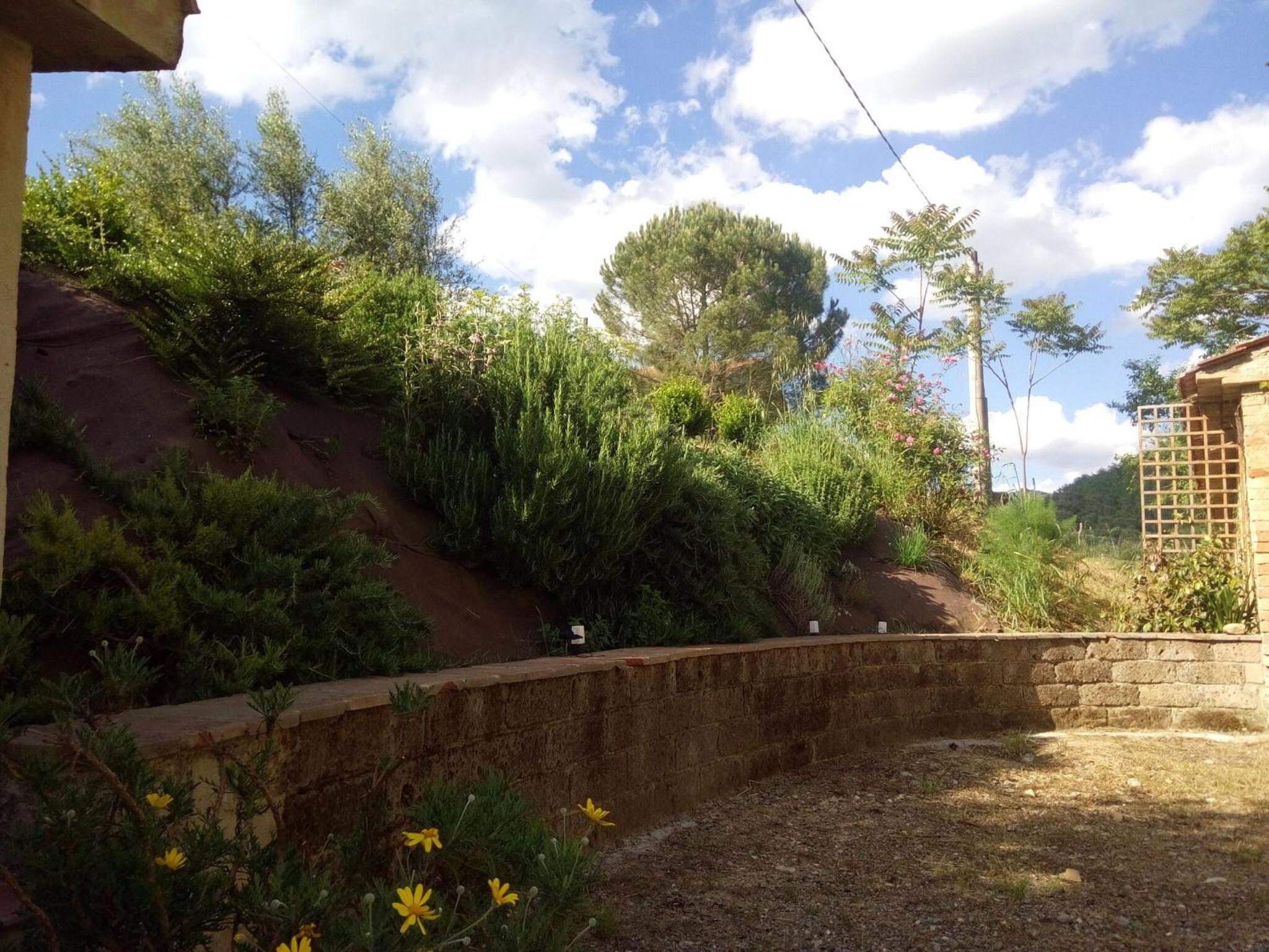 La Collina Con Gli Ulivi