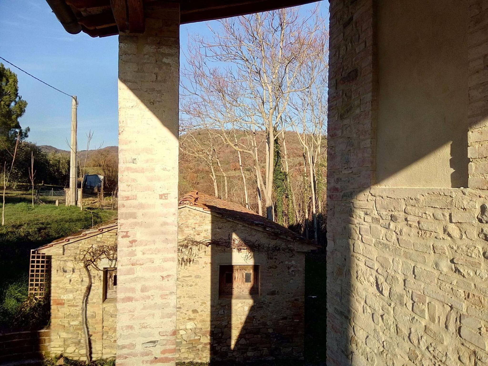 La Collina Con Gli Ulivi