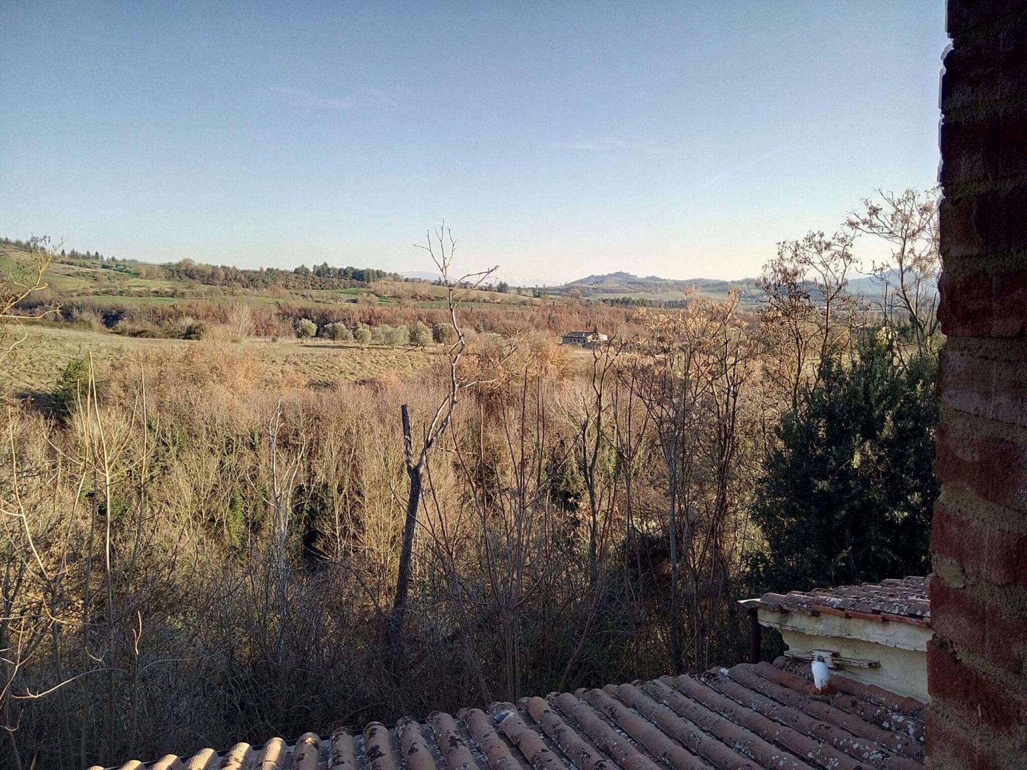 La Collina Con Gli Ulivi