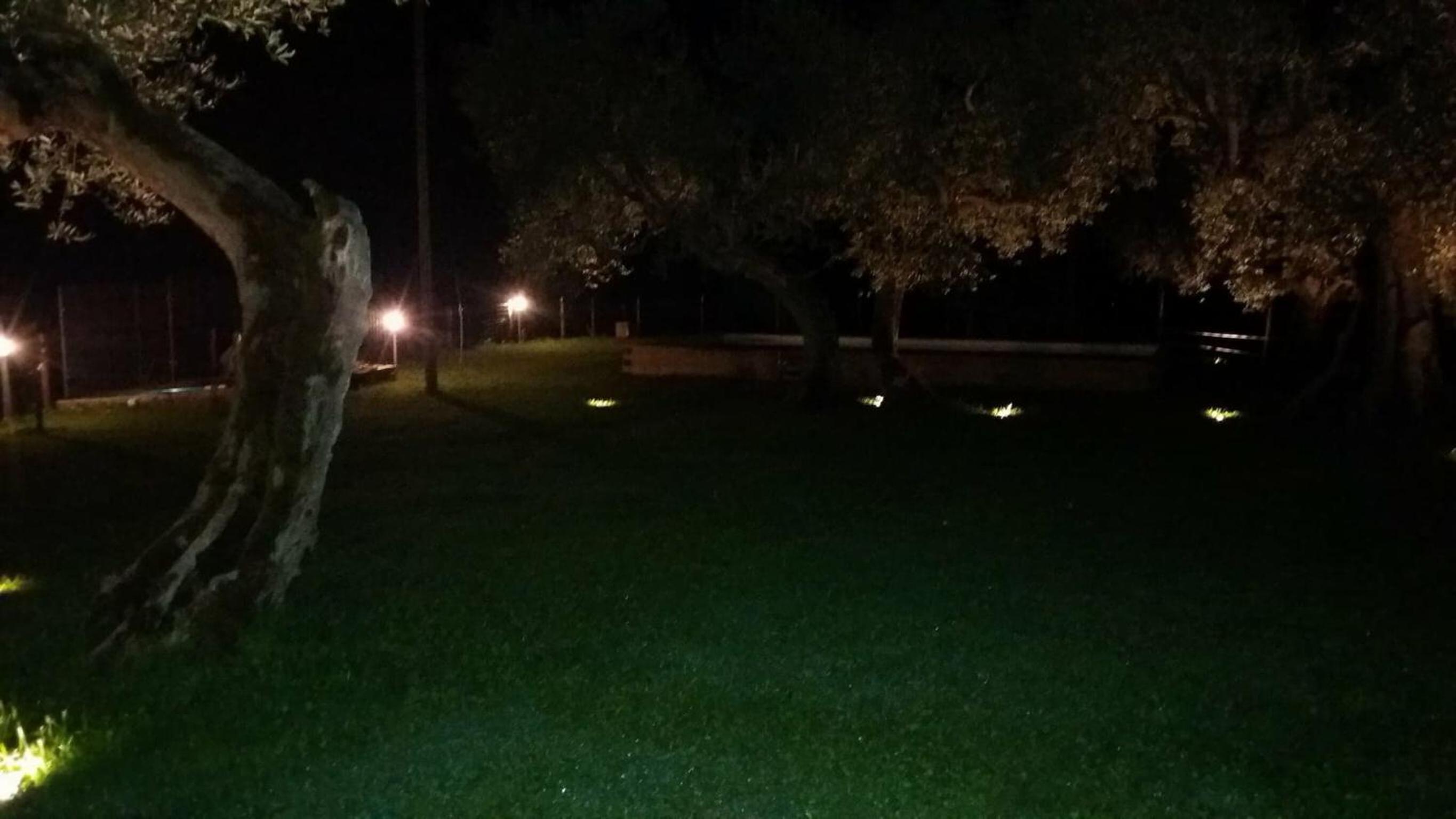 La Collina Con Gli Ulivi