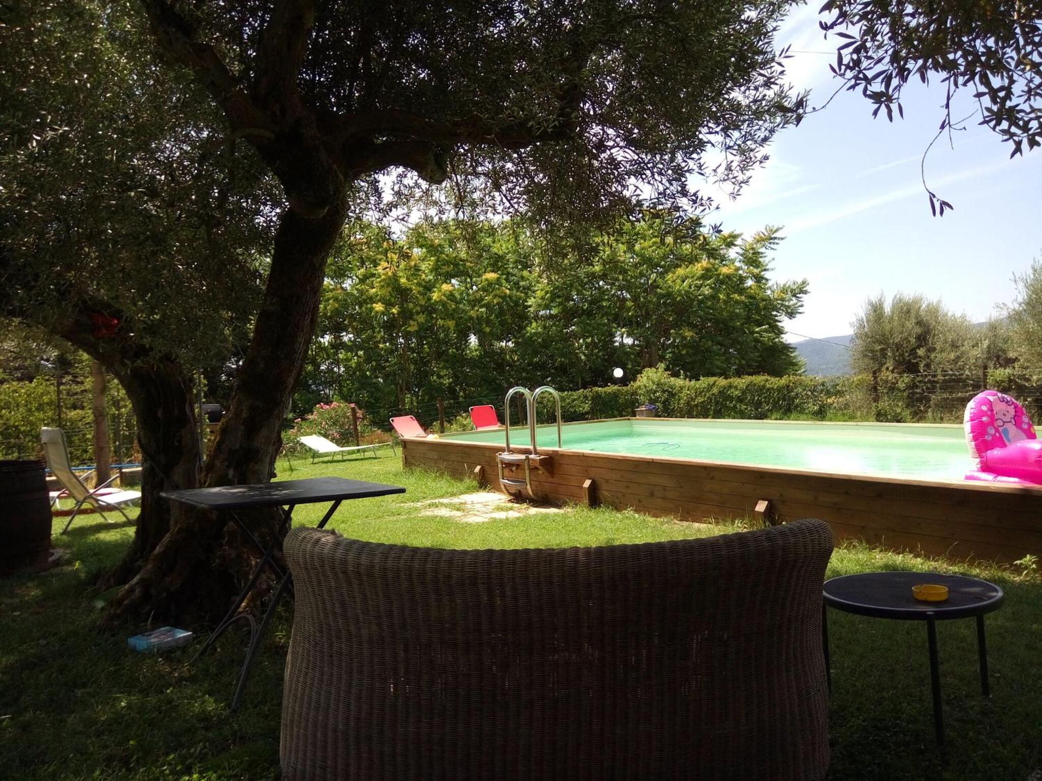 La Collina Con Gli Ulivi