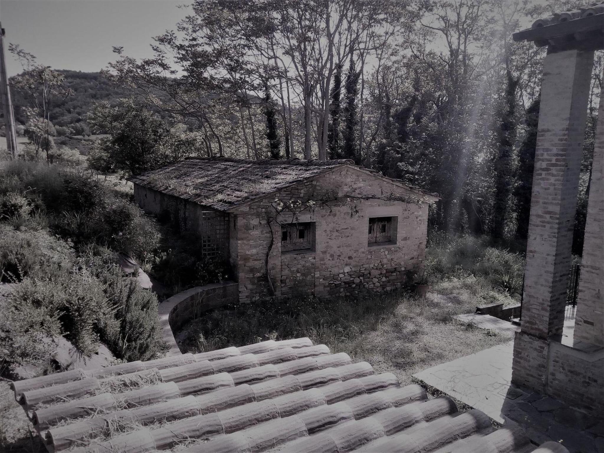 La Collina Con Gli Ulivi