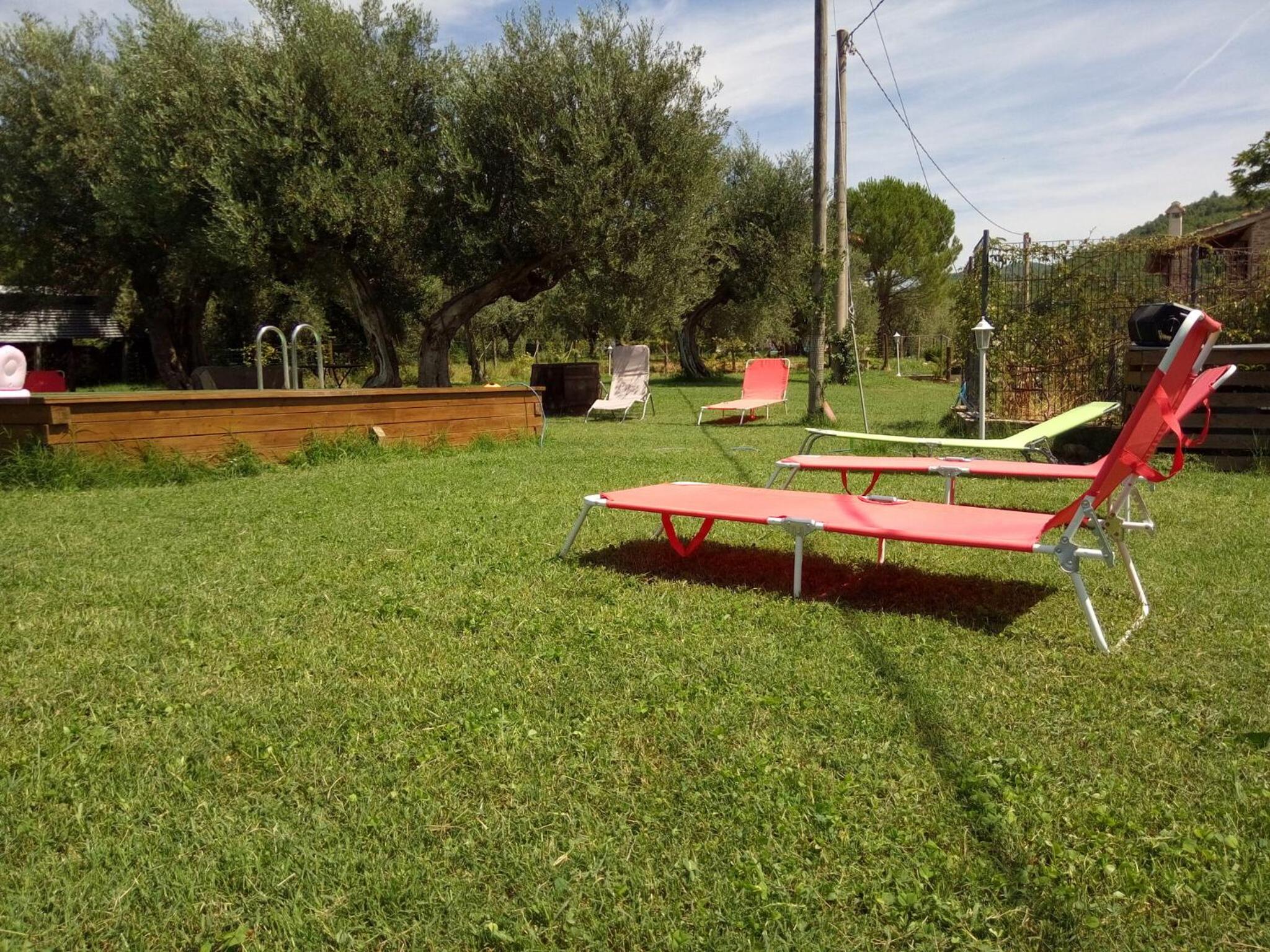 La Collina Con Gli Ulivi