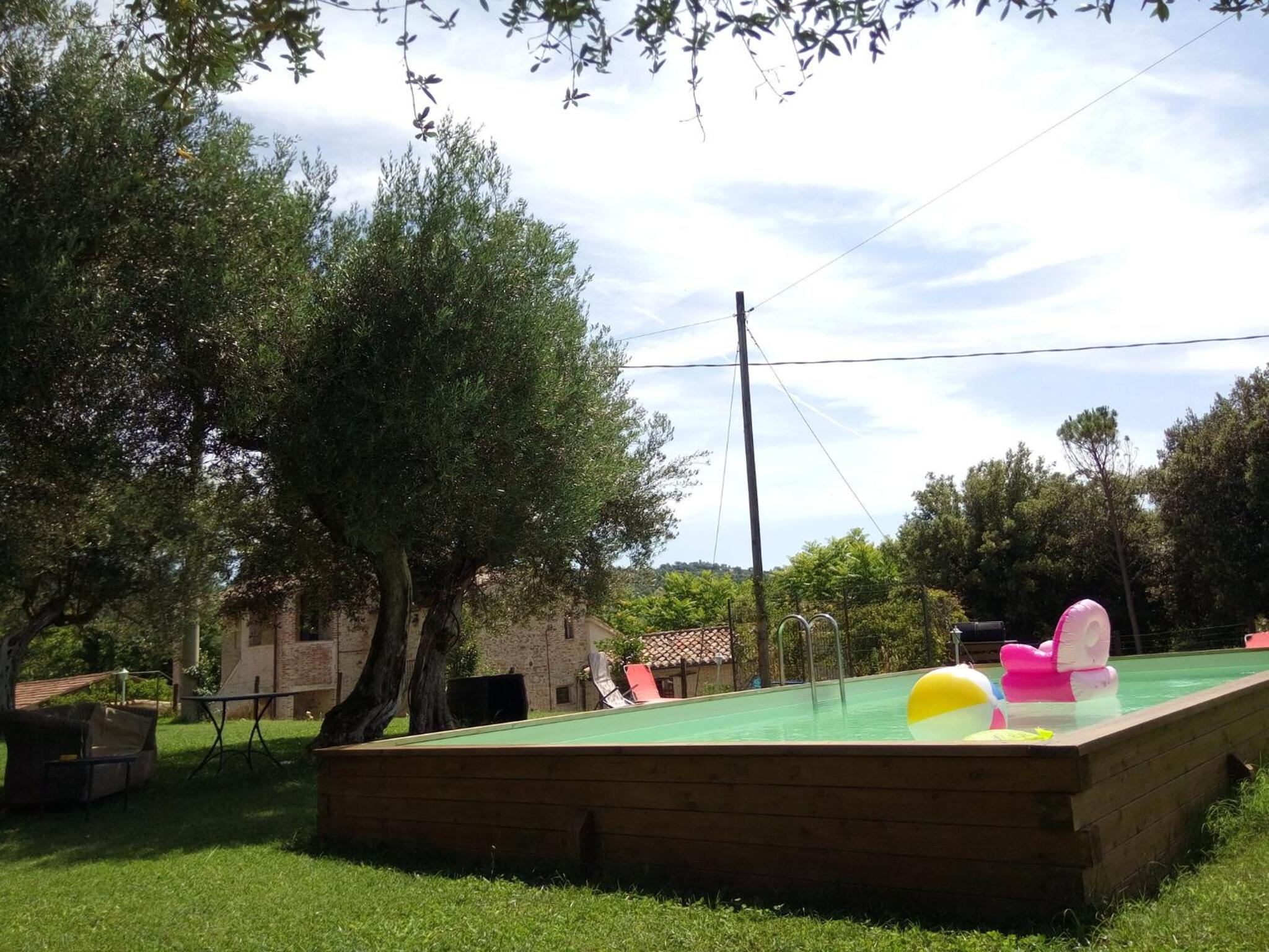 La Collina Con Gli Ulivi