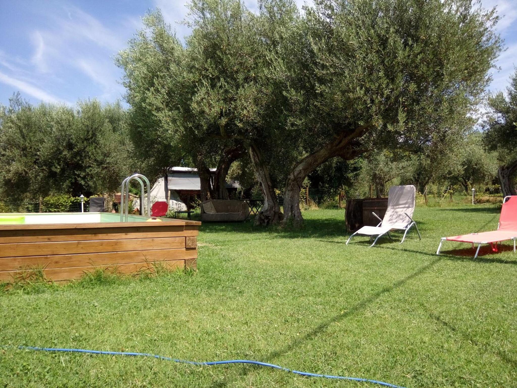 La Collina Con Gli Ulivi