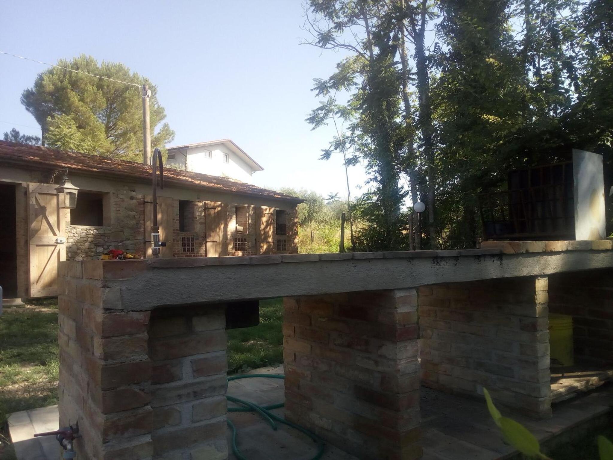 La Collina Con Gli Ulivi