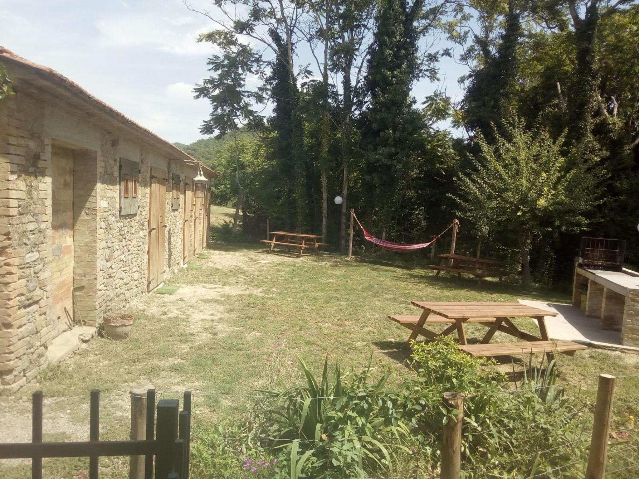La Collina Con Gli Ulivi