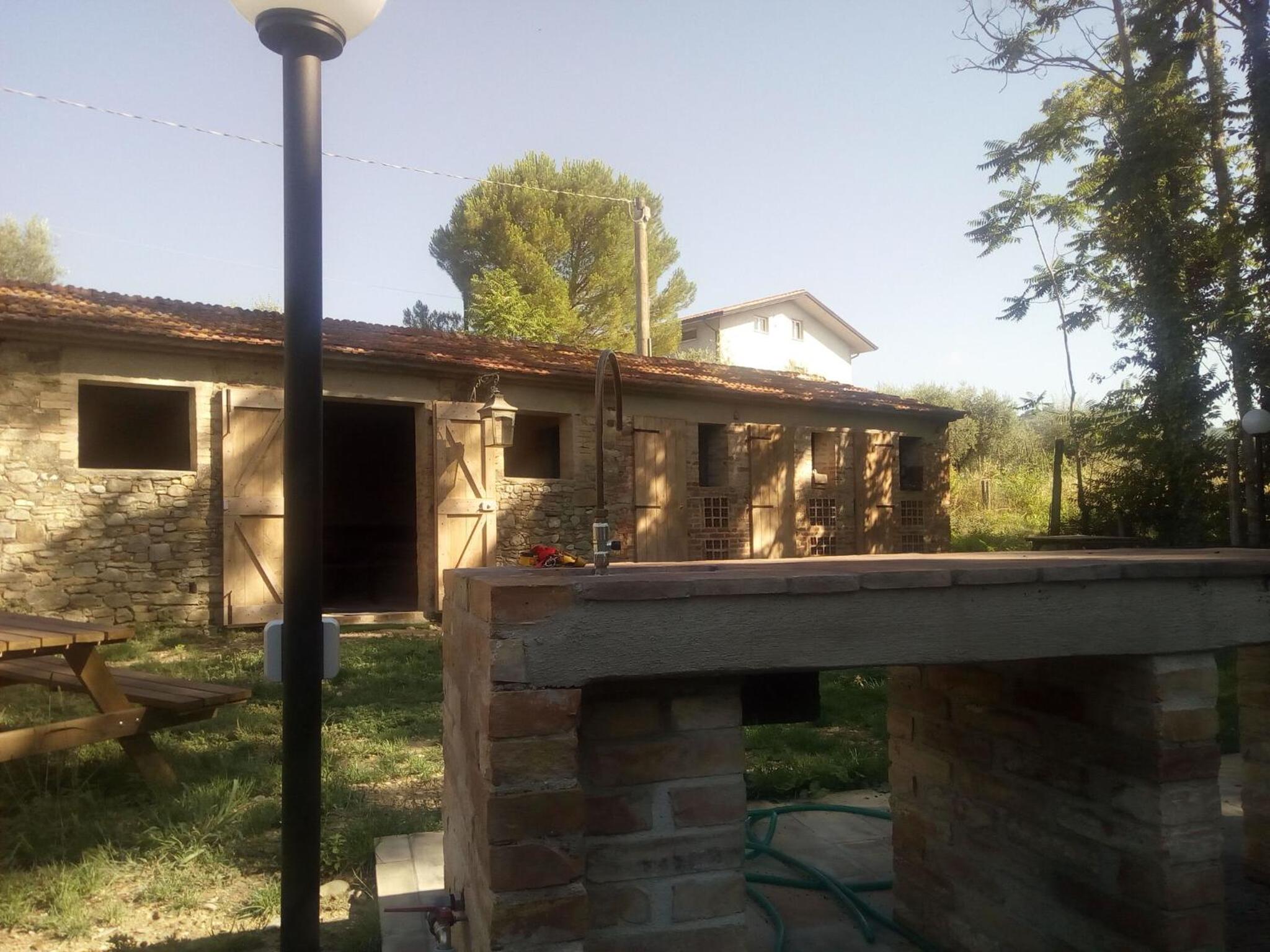 La Collina Con Gli Ulivi