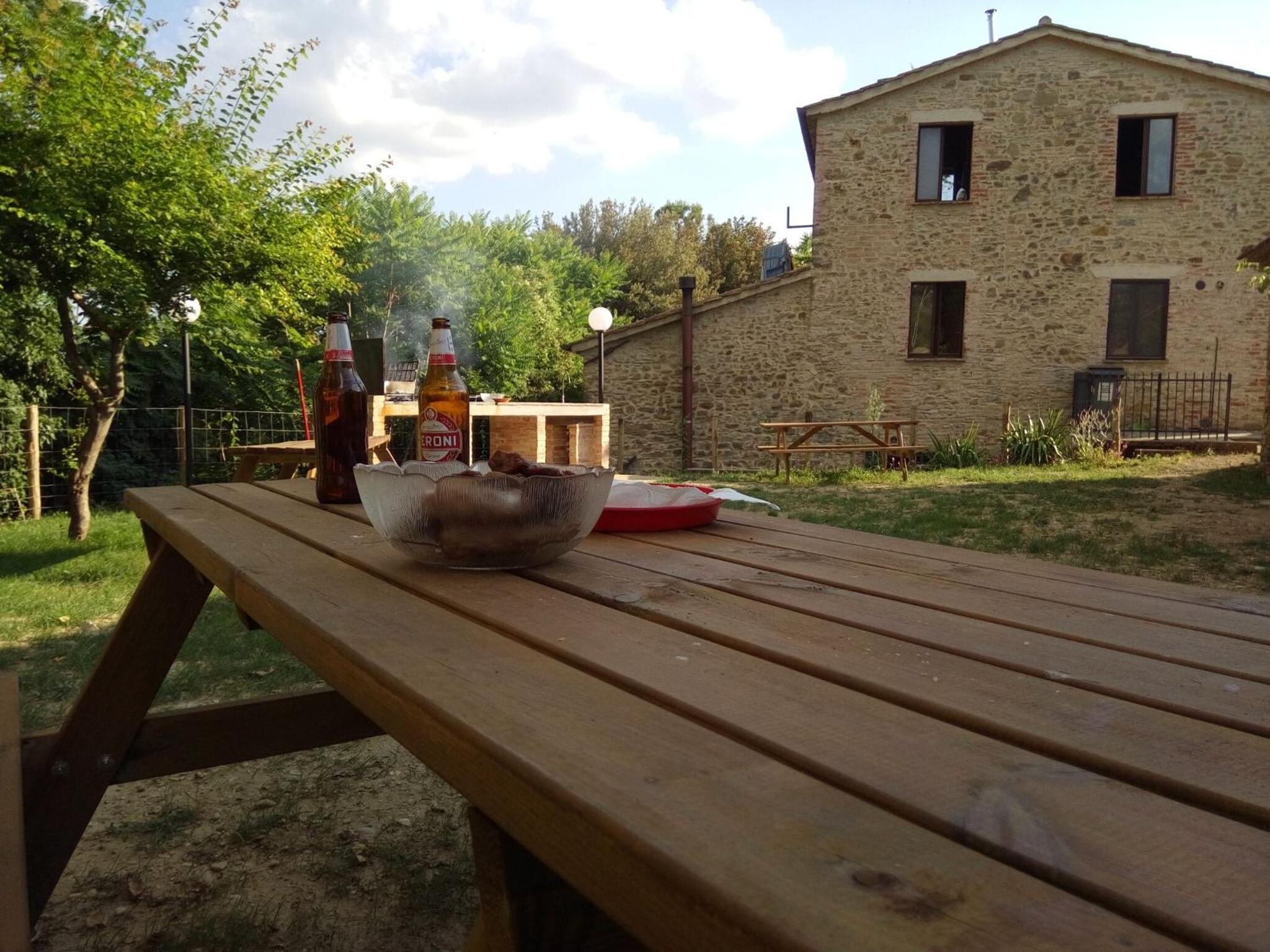 La Collina Con Gli Ulivi
