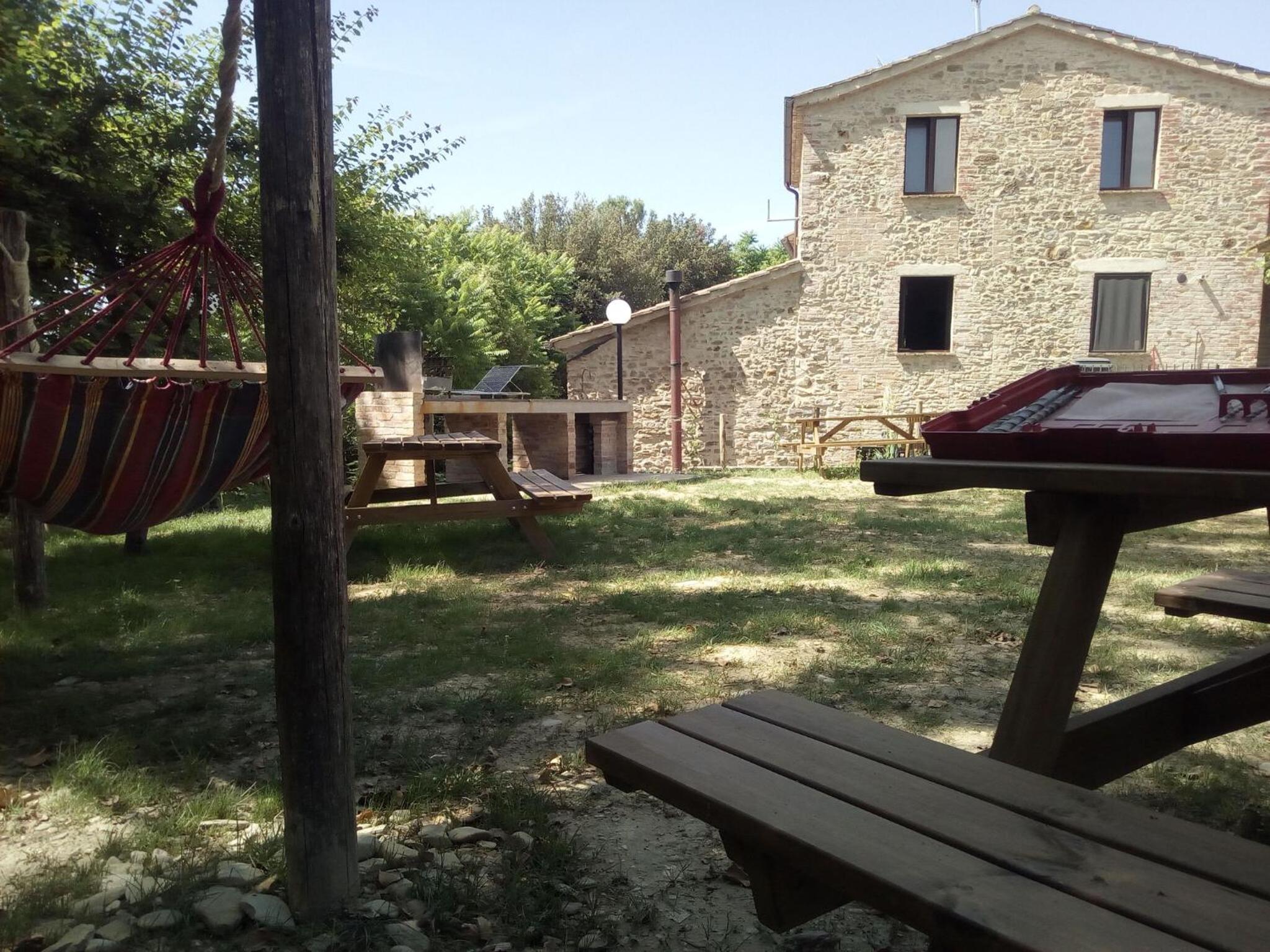 La Collina Con Gli Ulivi