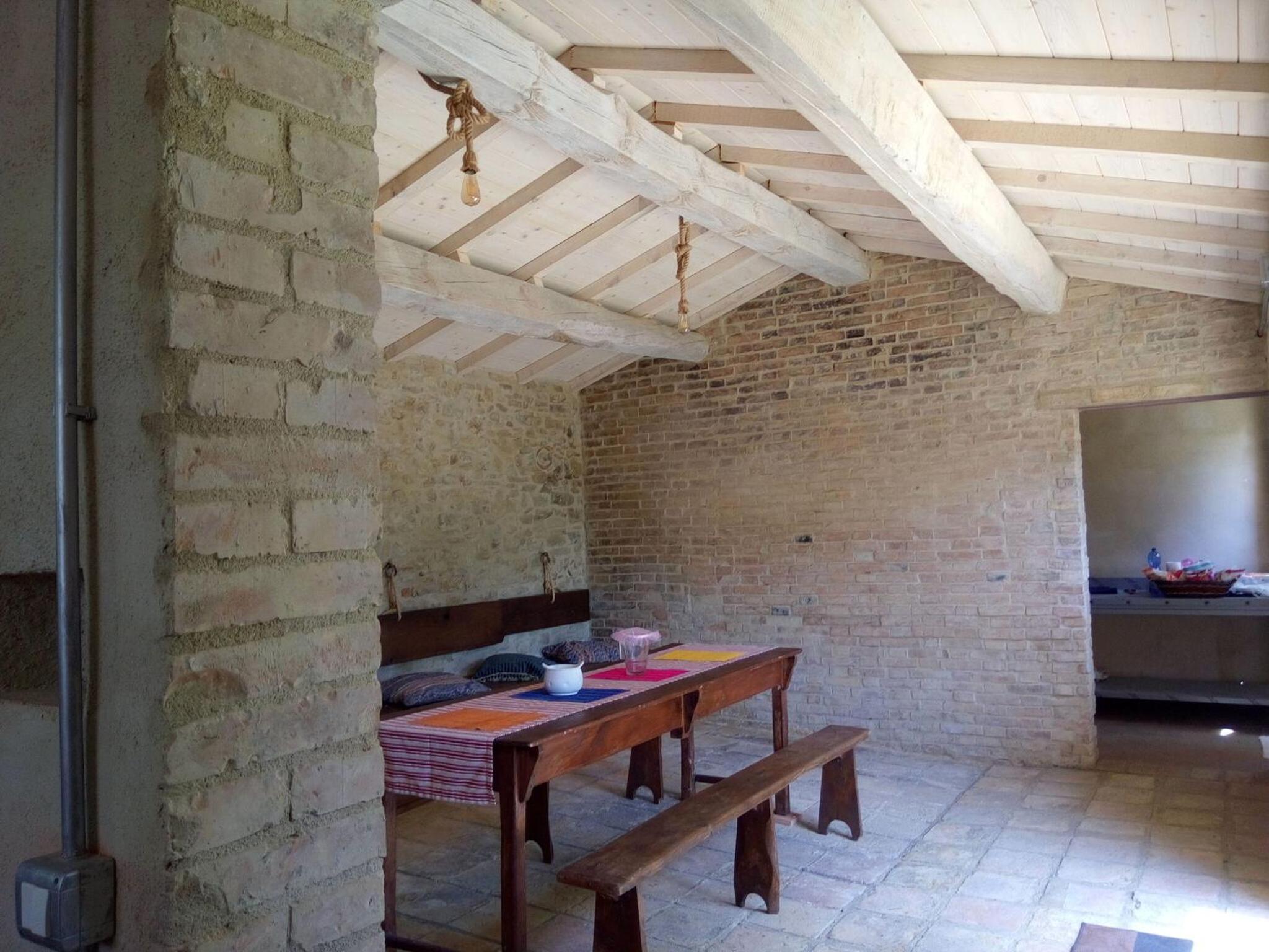 La Collina Con Gli Ulivi