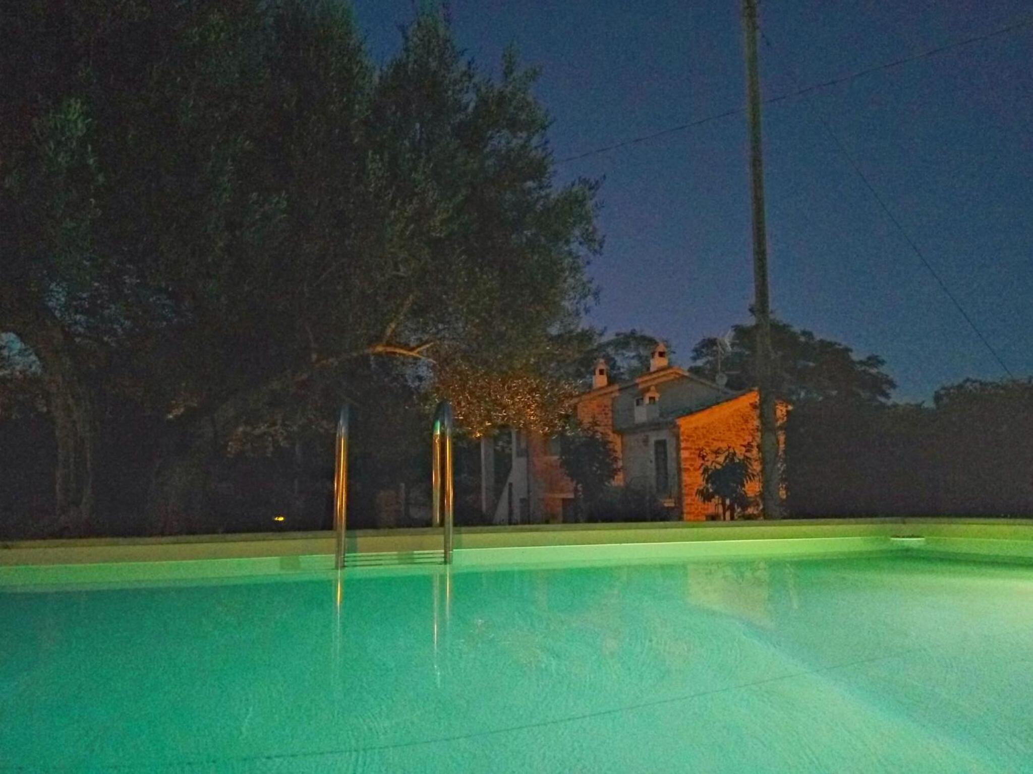 La Collina Con Gli Ulivi