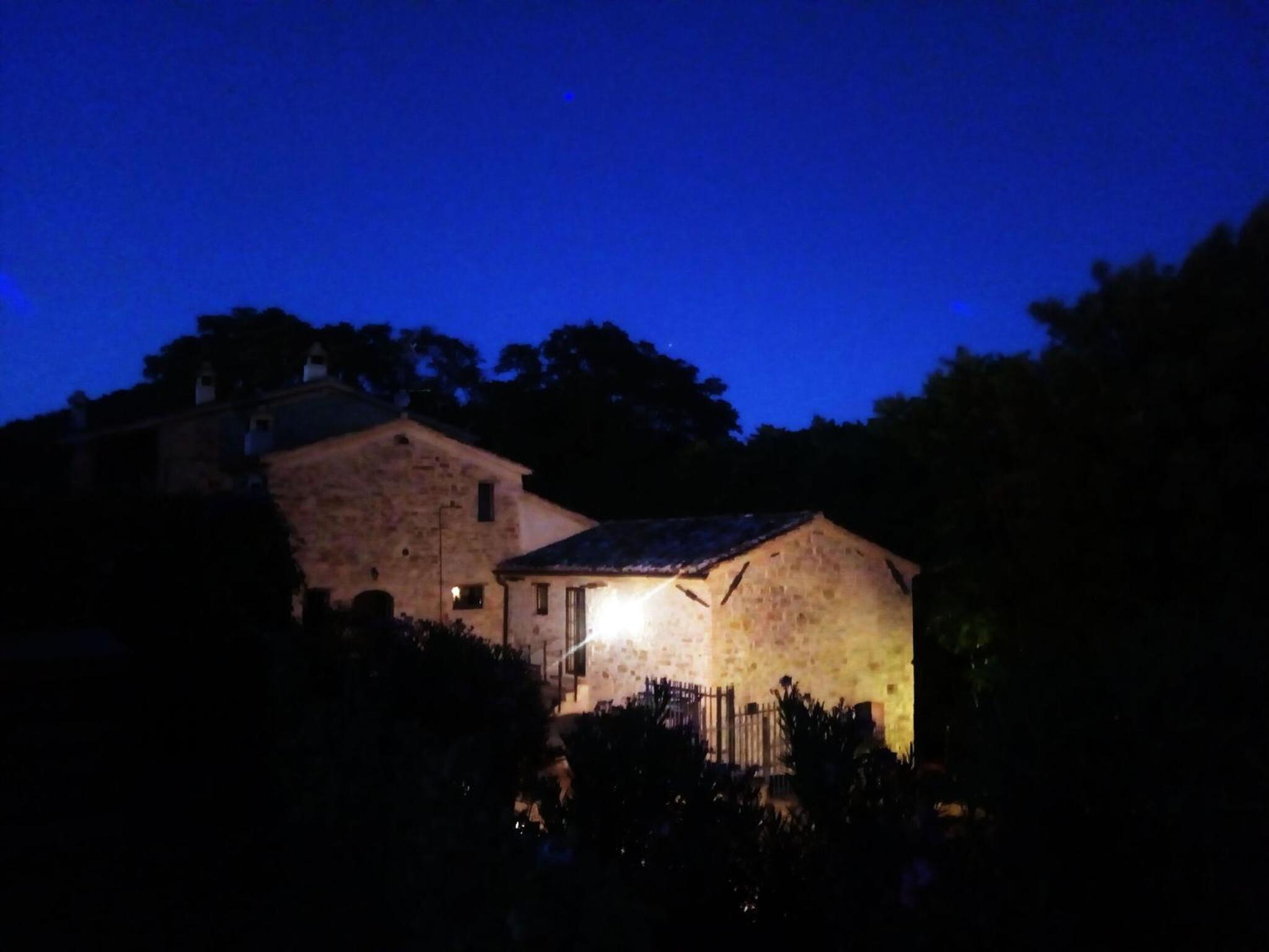 La Collina Con Gli Ulivi