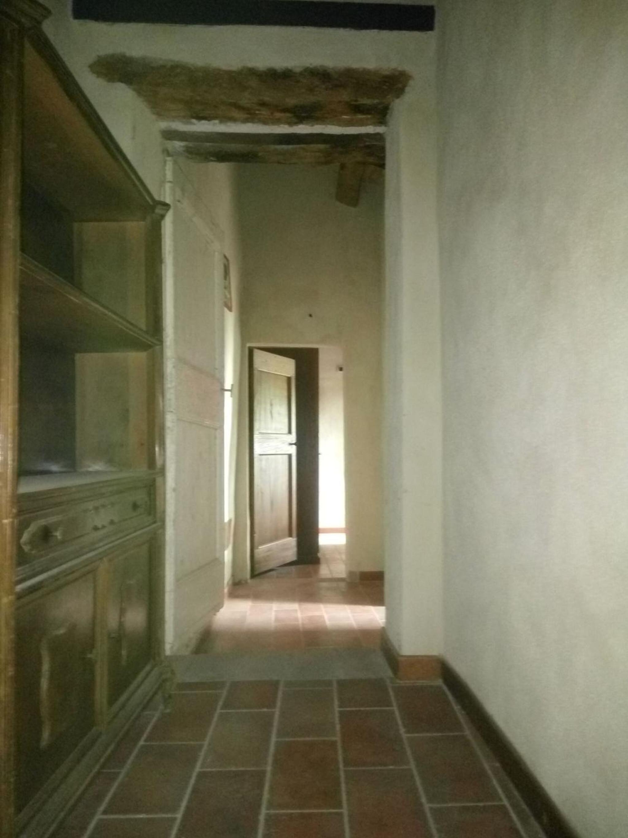 La Collina Con Gli Ulivi