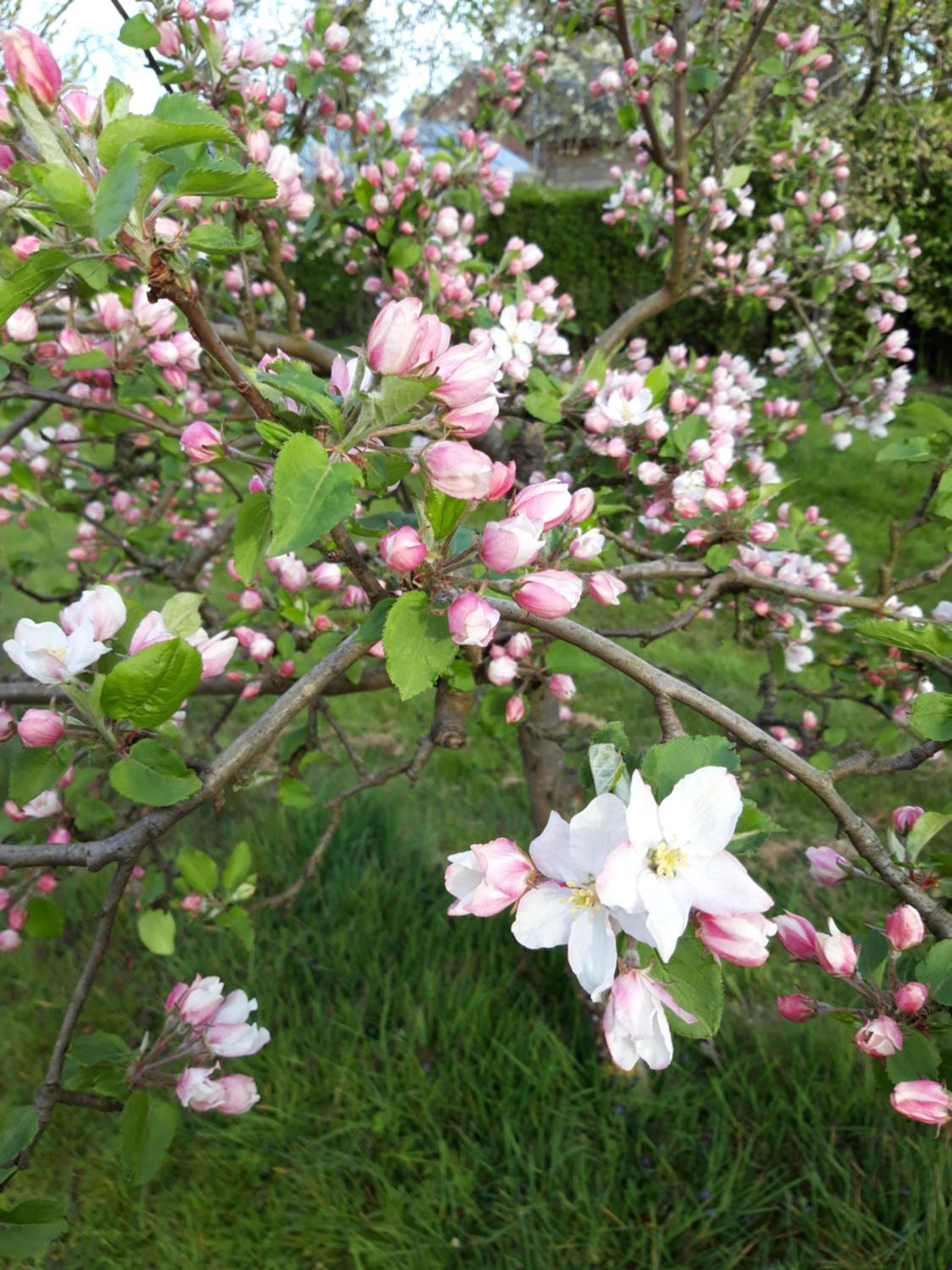 Photo 21