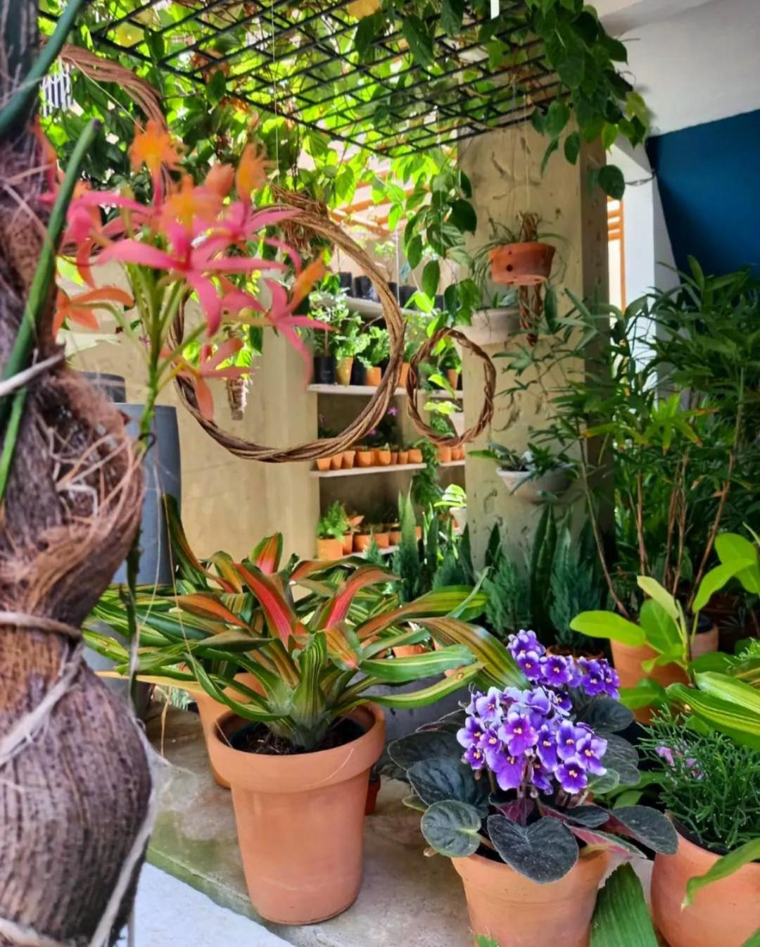 Residencial Casa Flor Atelier Botânico, Ponta Negra