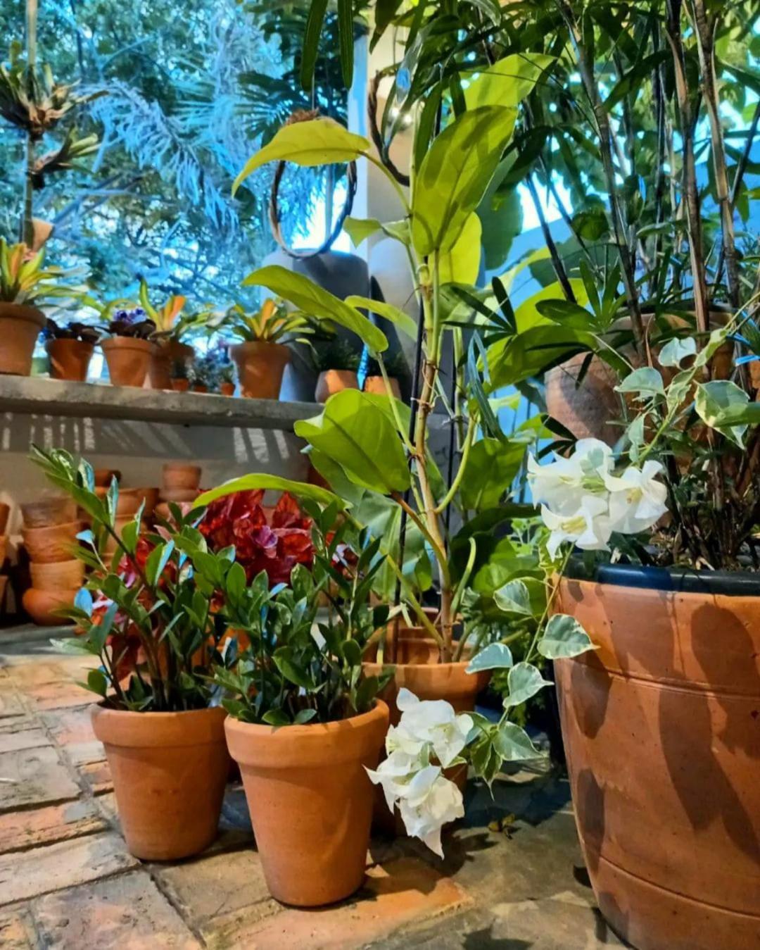 Residencial Casa Flor Atelier Botânico, Ponta Negra