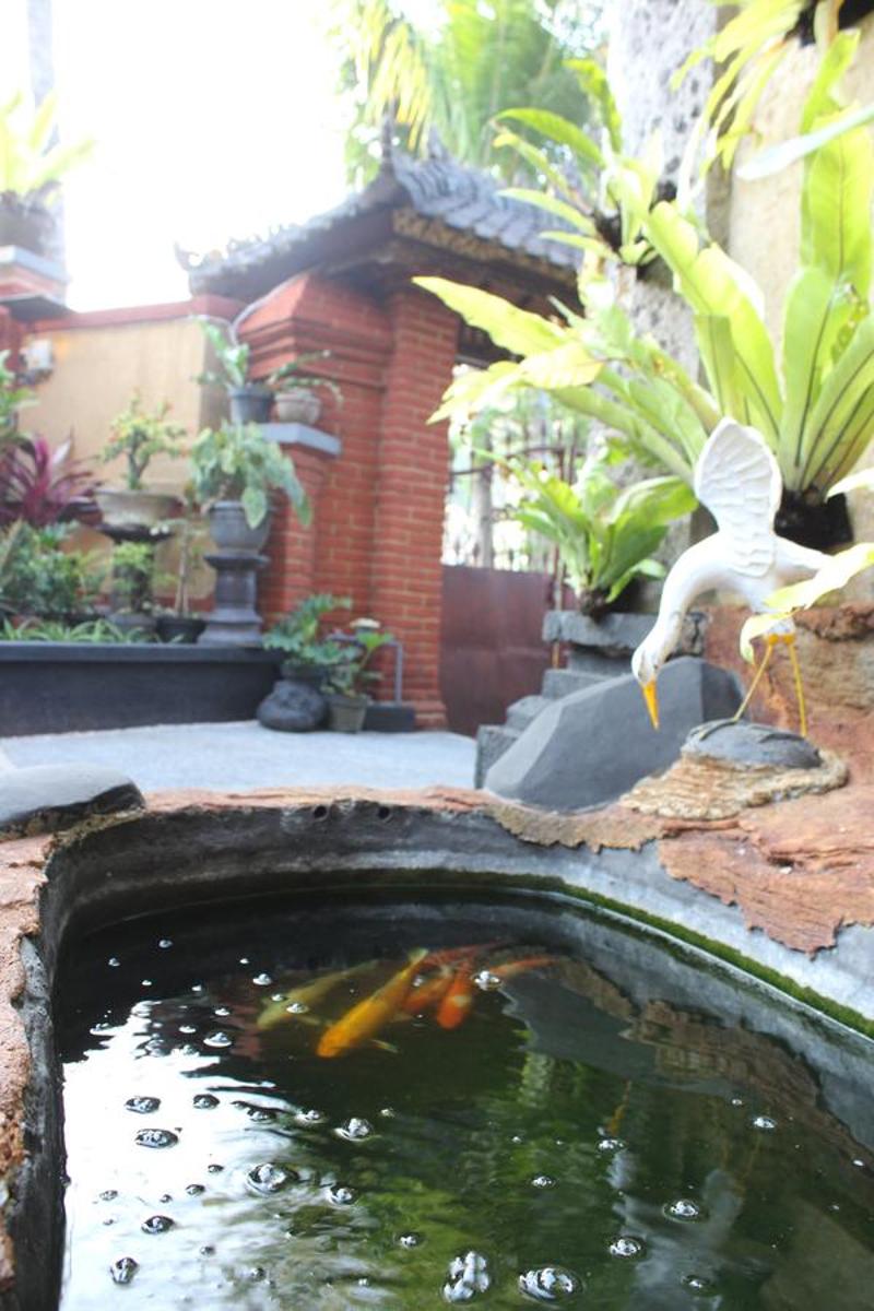 Photo 35