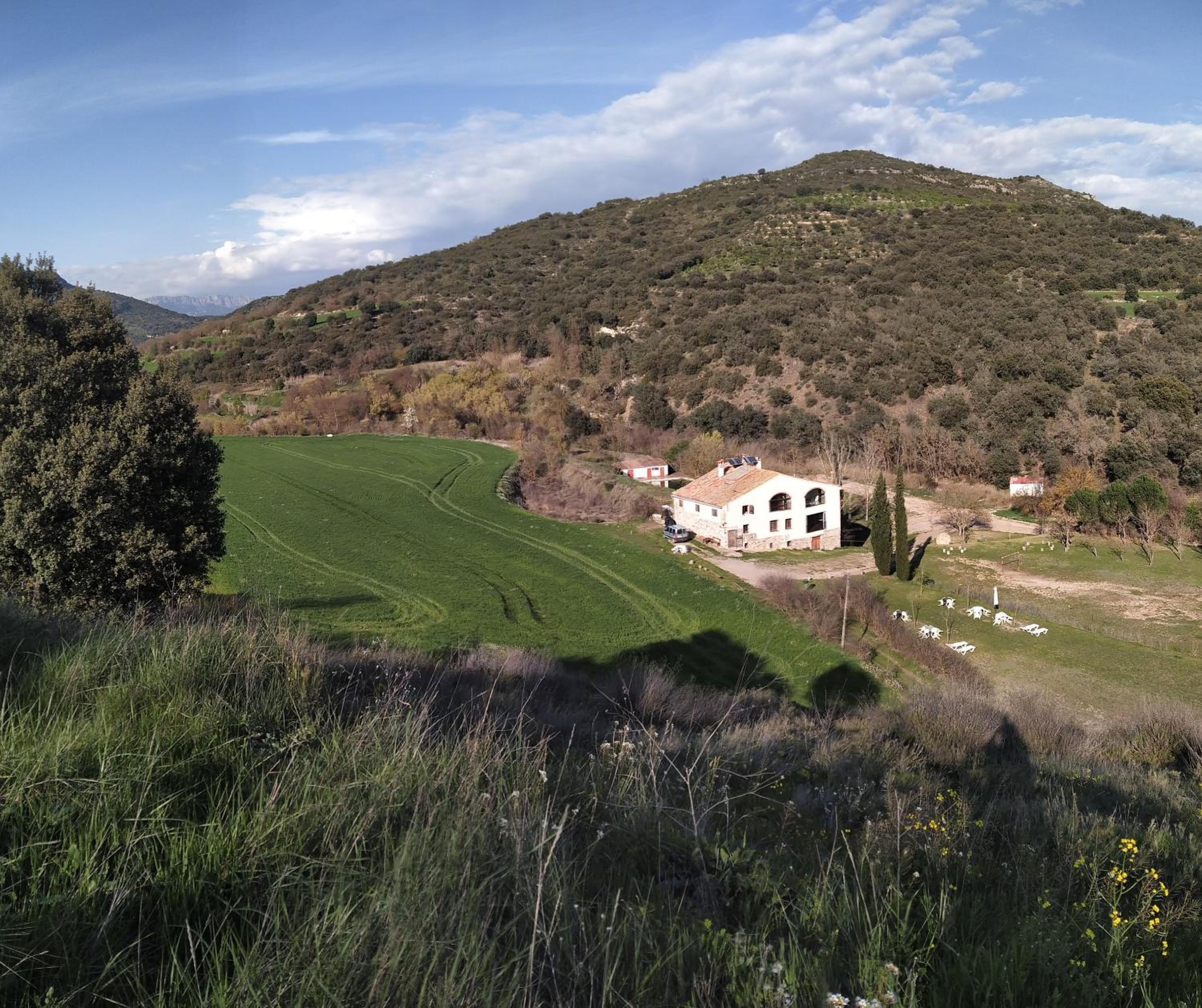 Photo 20