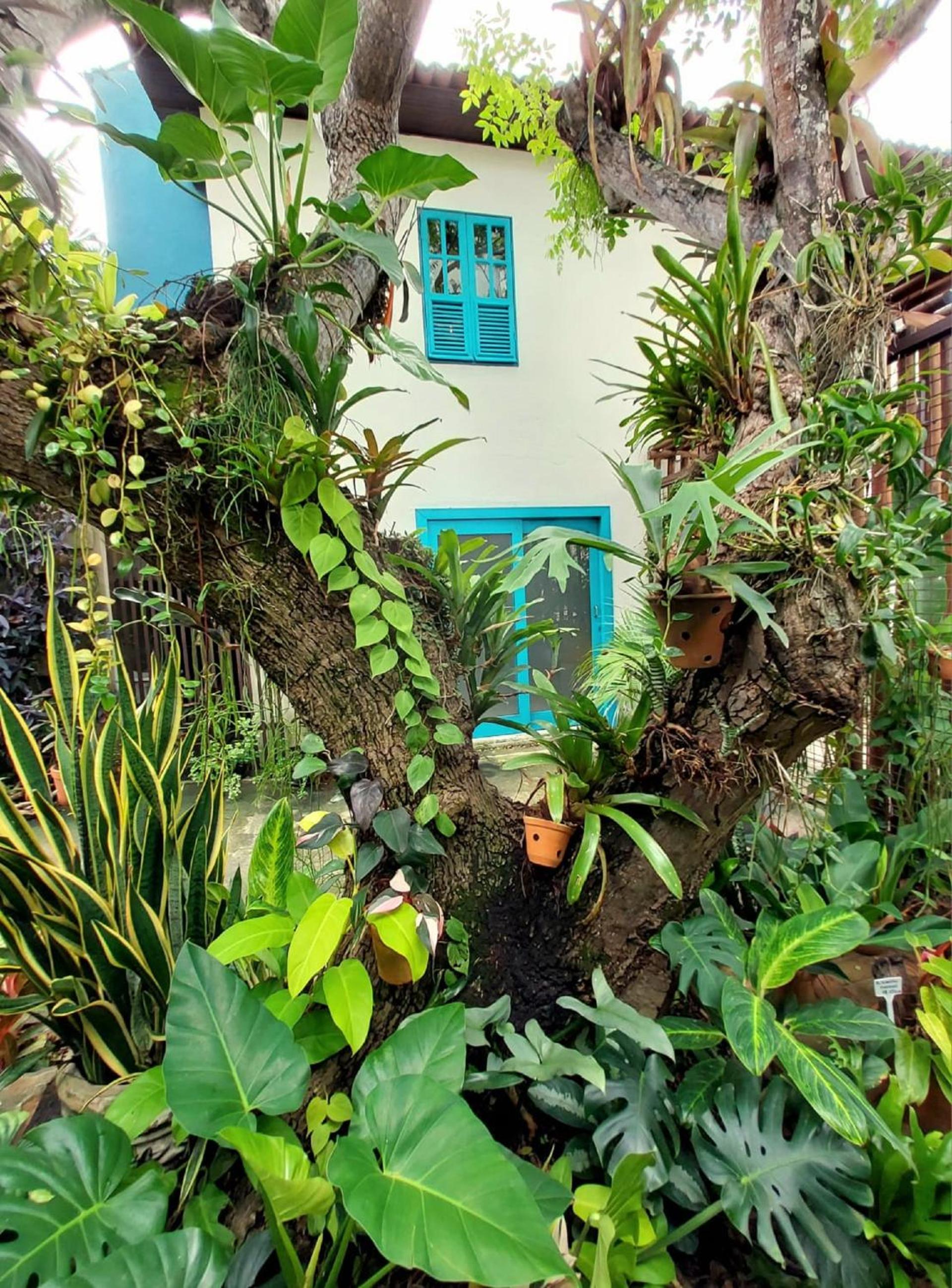Residencial Casa Flor Atelier Botânico, Ponta Negra
