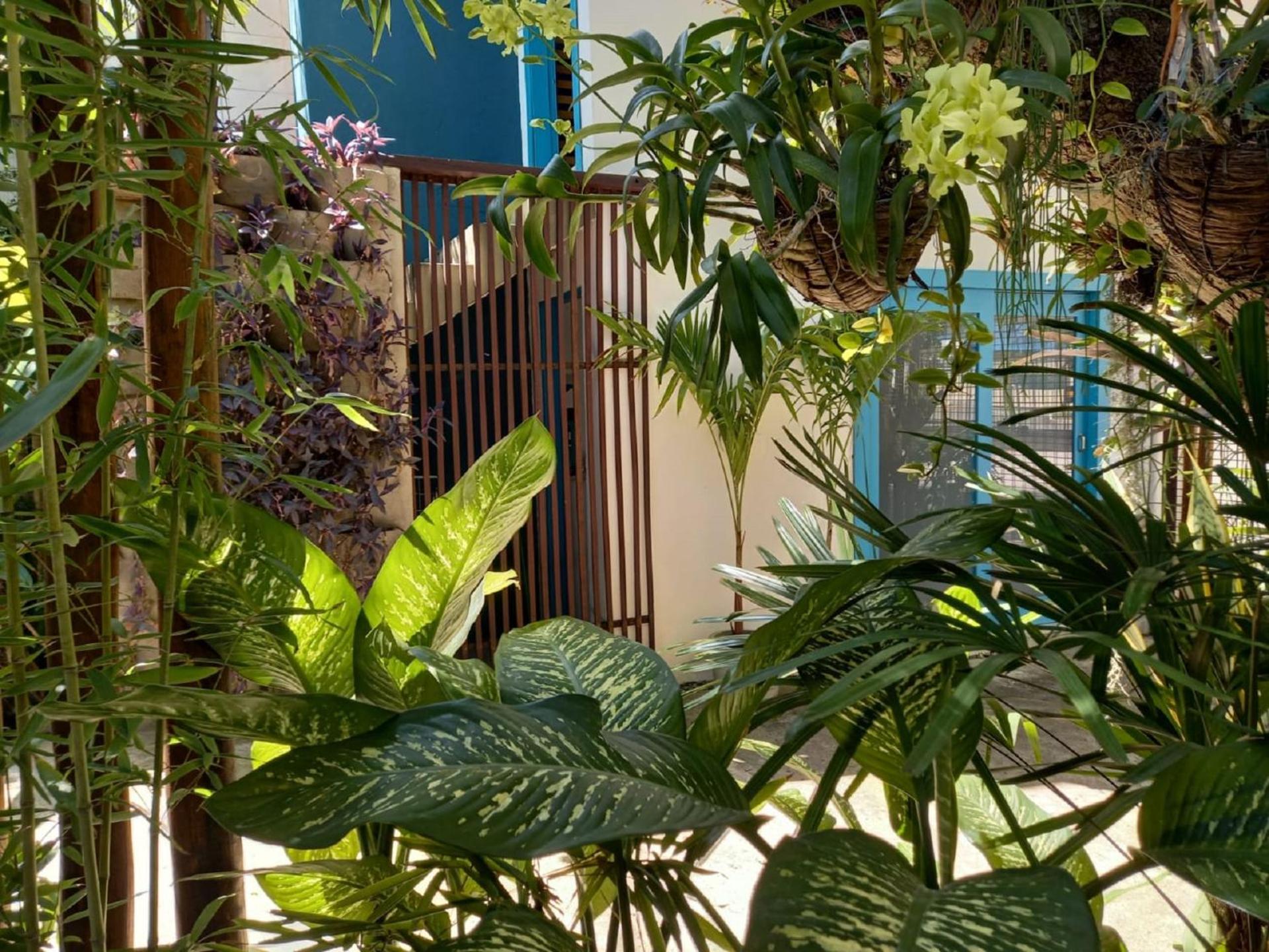 Residencial Casa Flor Atelier Botânico, Ponta Negra
