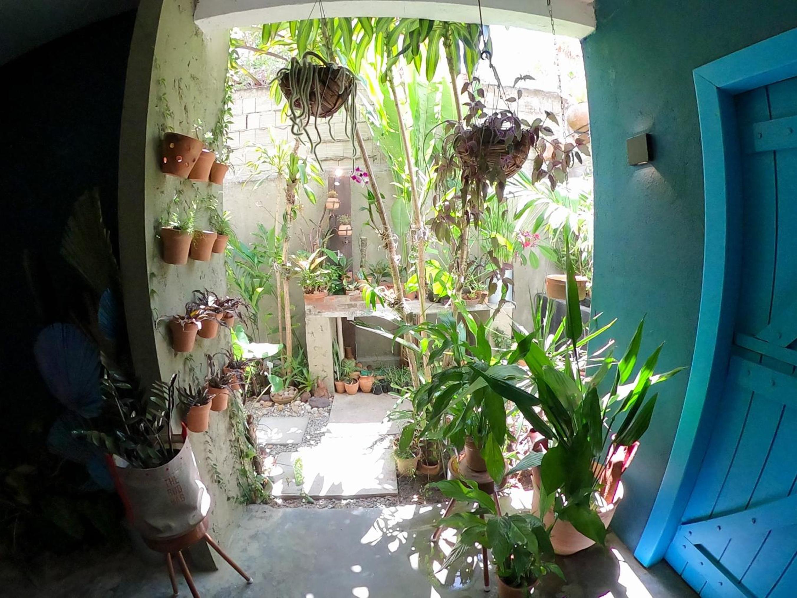 Residencial Casa Flor Atelier Botânico, Ponta Negra