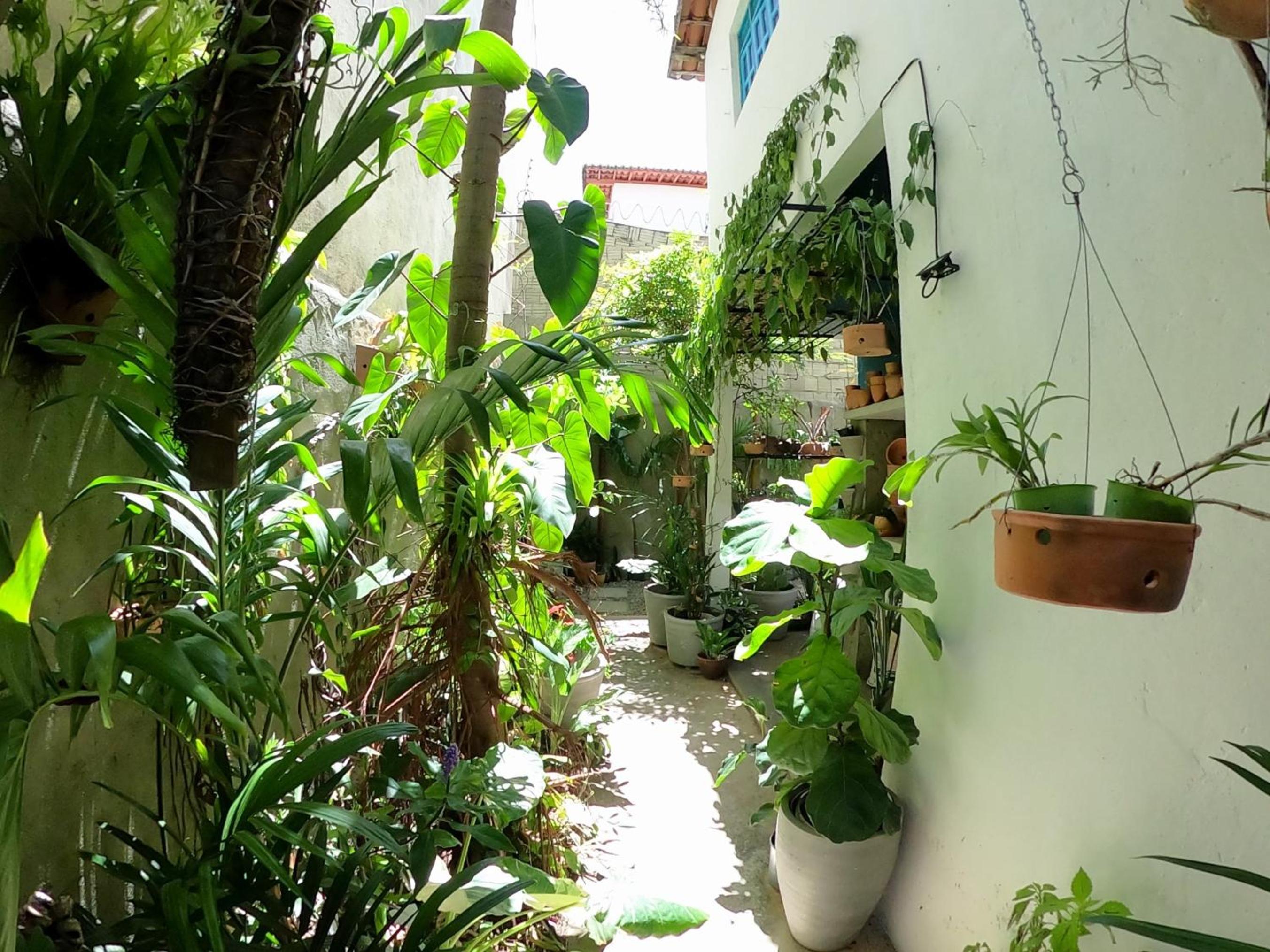 Residencial Casa Flor Atelier Botânico, Ponta Negra