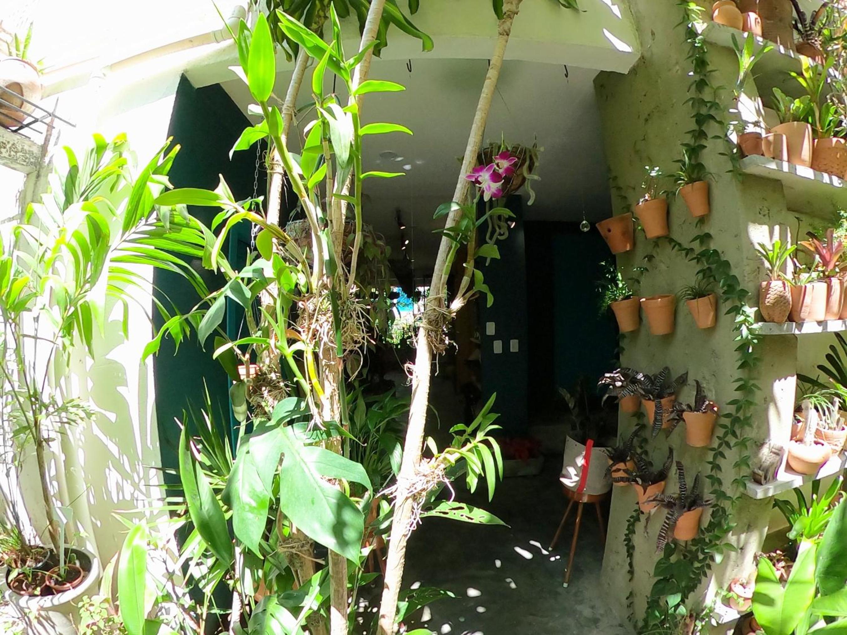 Residencial Casa Flor Atelier Botânico, Ponta Negra