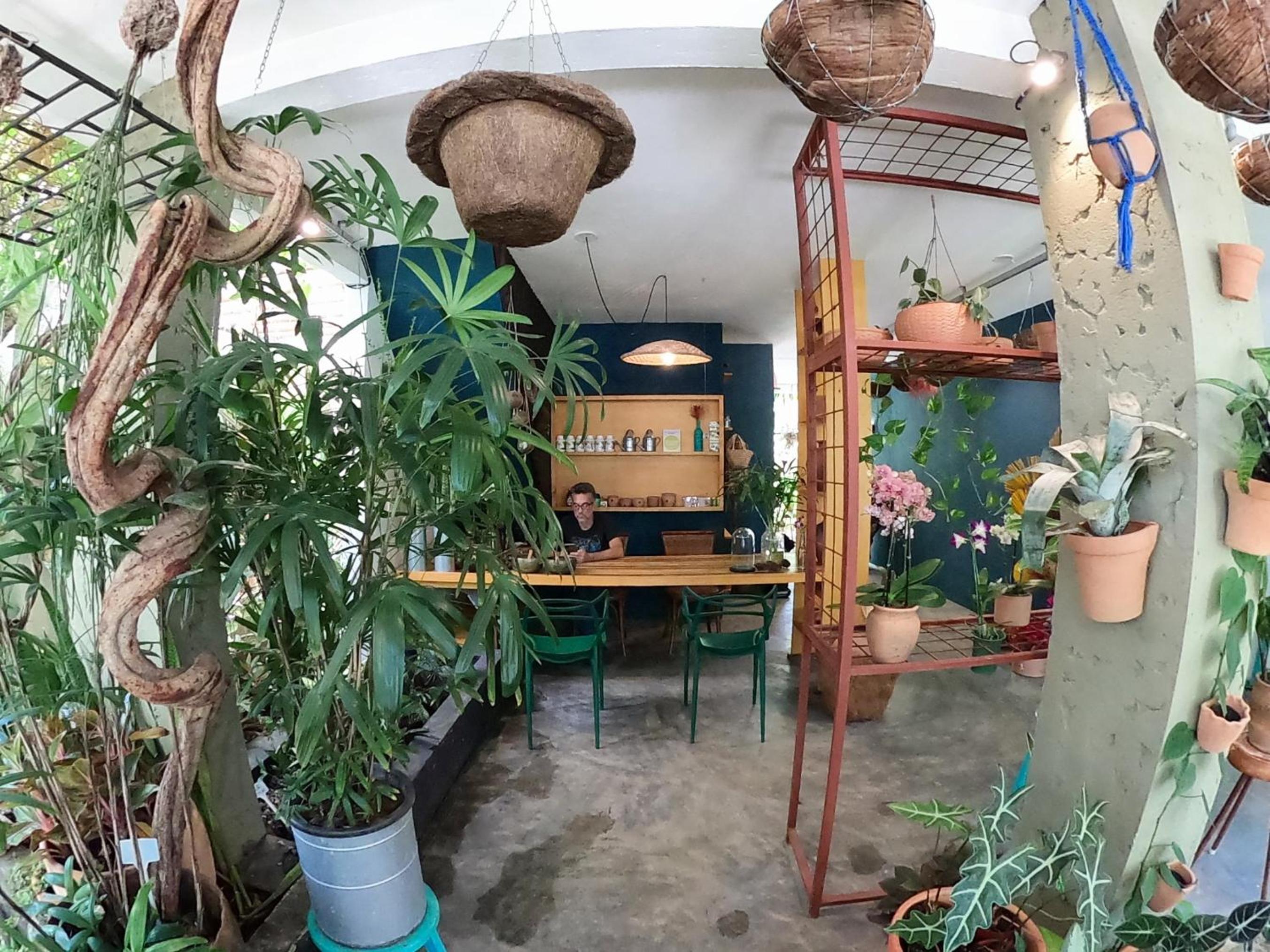 Residencial Casa Flor Atelier Botânico, Ponta Negra