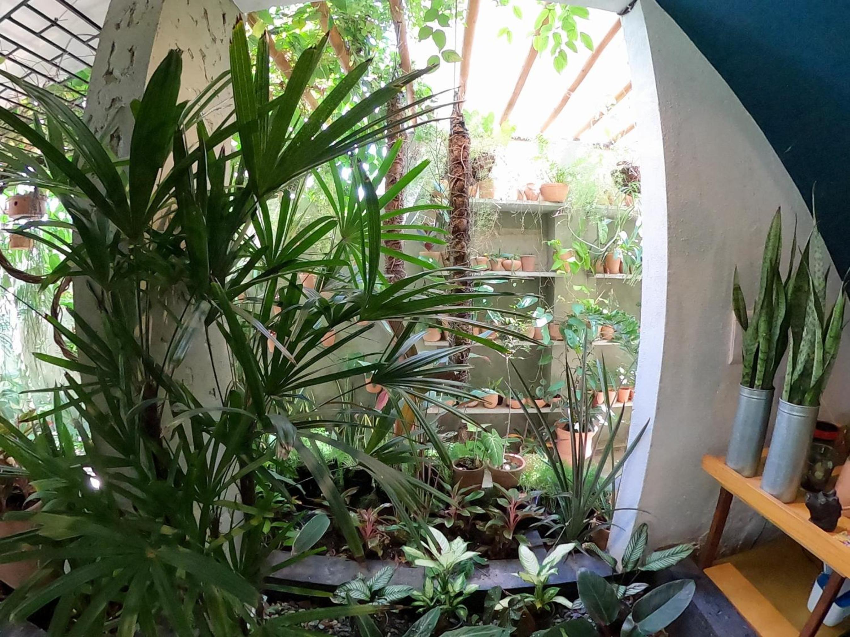 Residencial Casa Flor Atelier Botânico, Ponta Negra