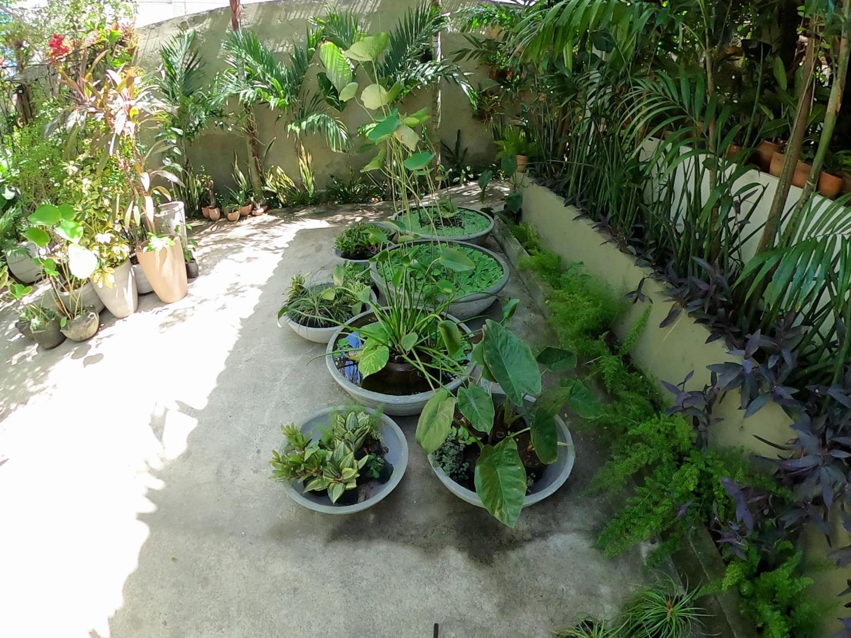 Residencial Casa Flor Atelier Botânico, Ponta Negra