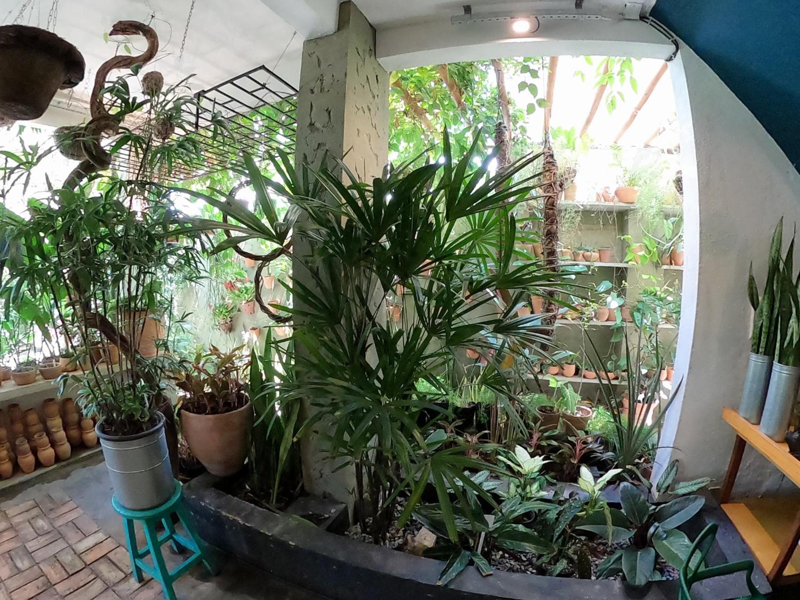 Residencial Casa Flor Atelier Botânico, Ponta Negra